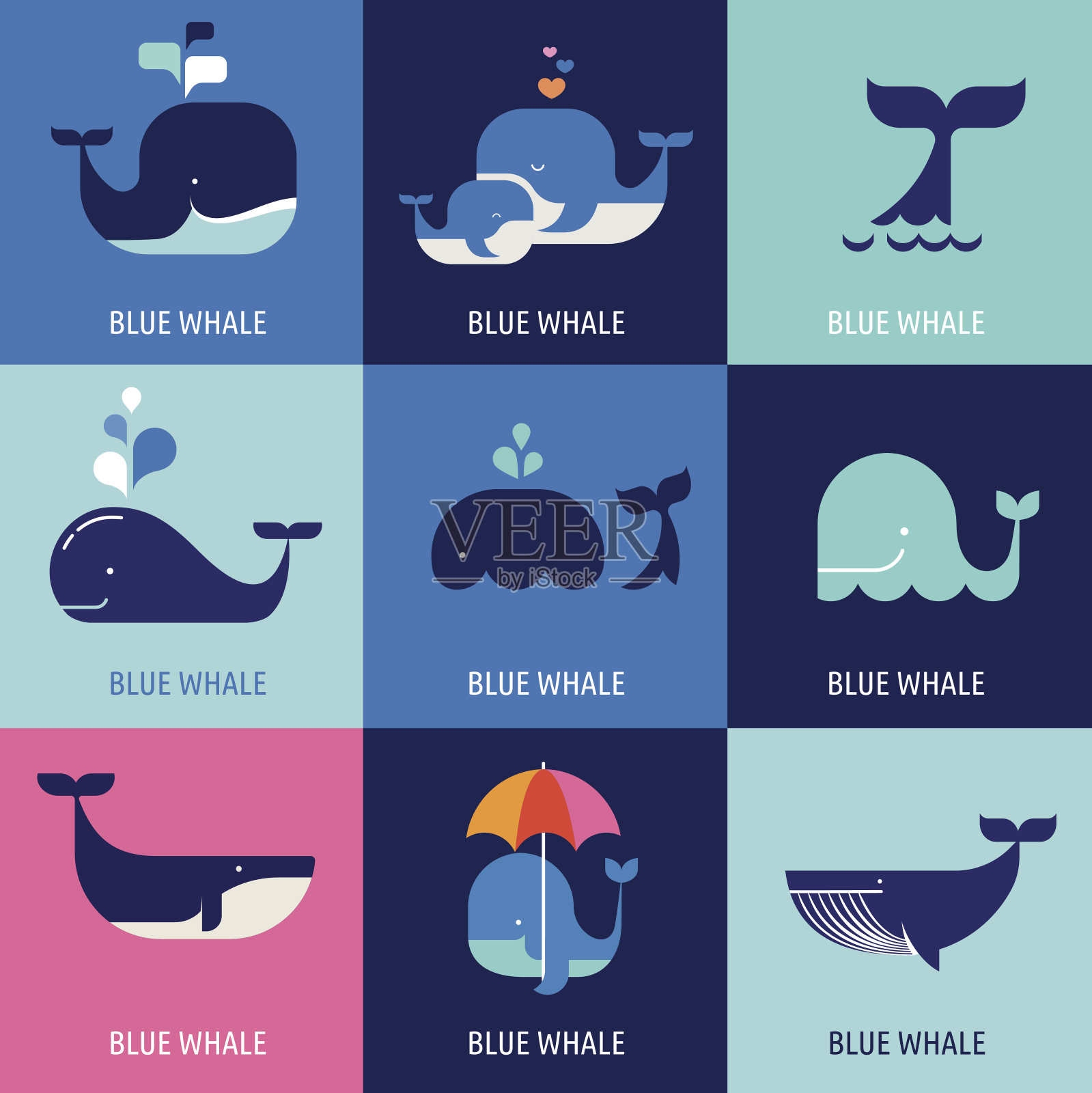 矢量鲸鱼图标的集合插画图片素材