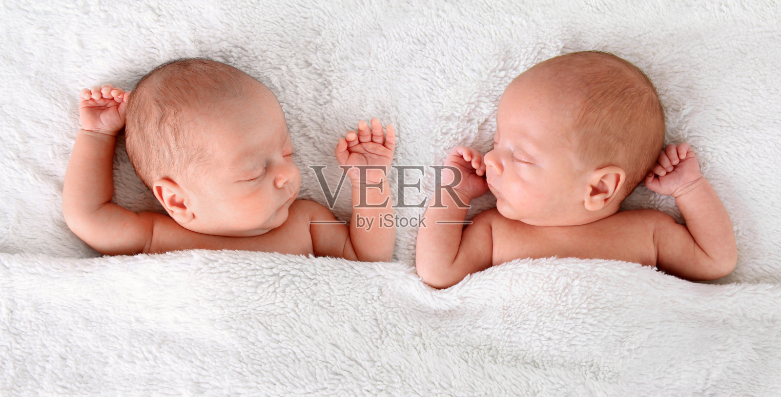刚出生的双胞胎照片摄影图片