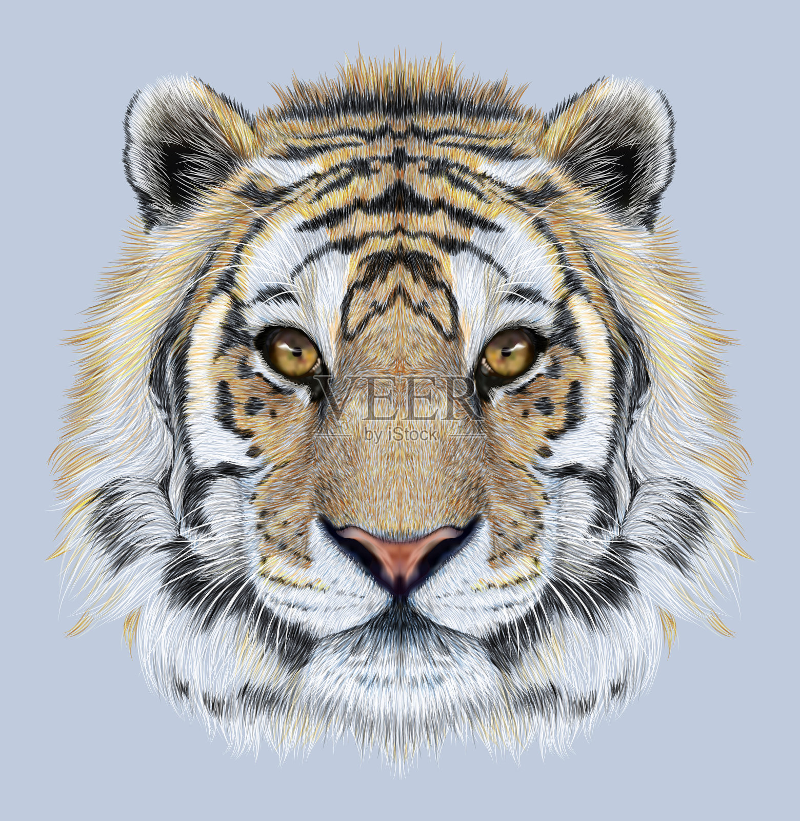 蓝色背景上的老虎肖像插画图片素材