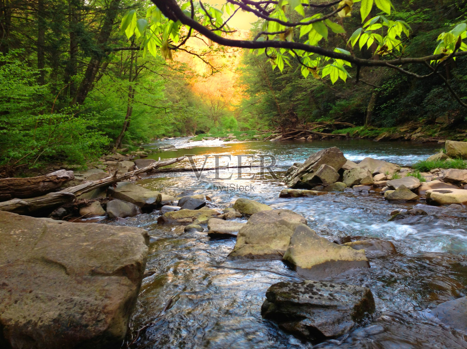 宾夕法尼亚州的山鳟鱼溪照片摄影图片