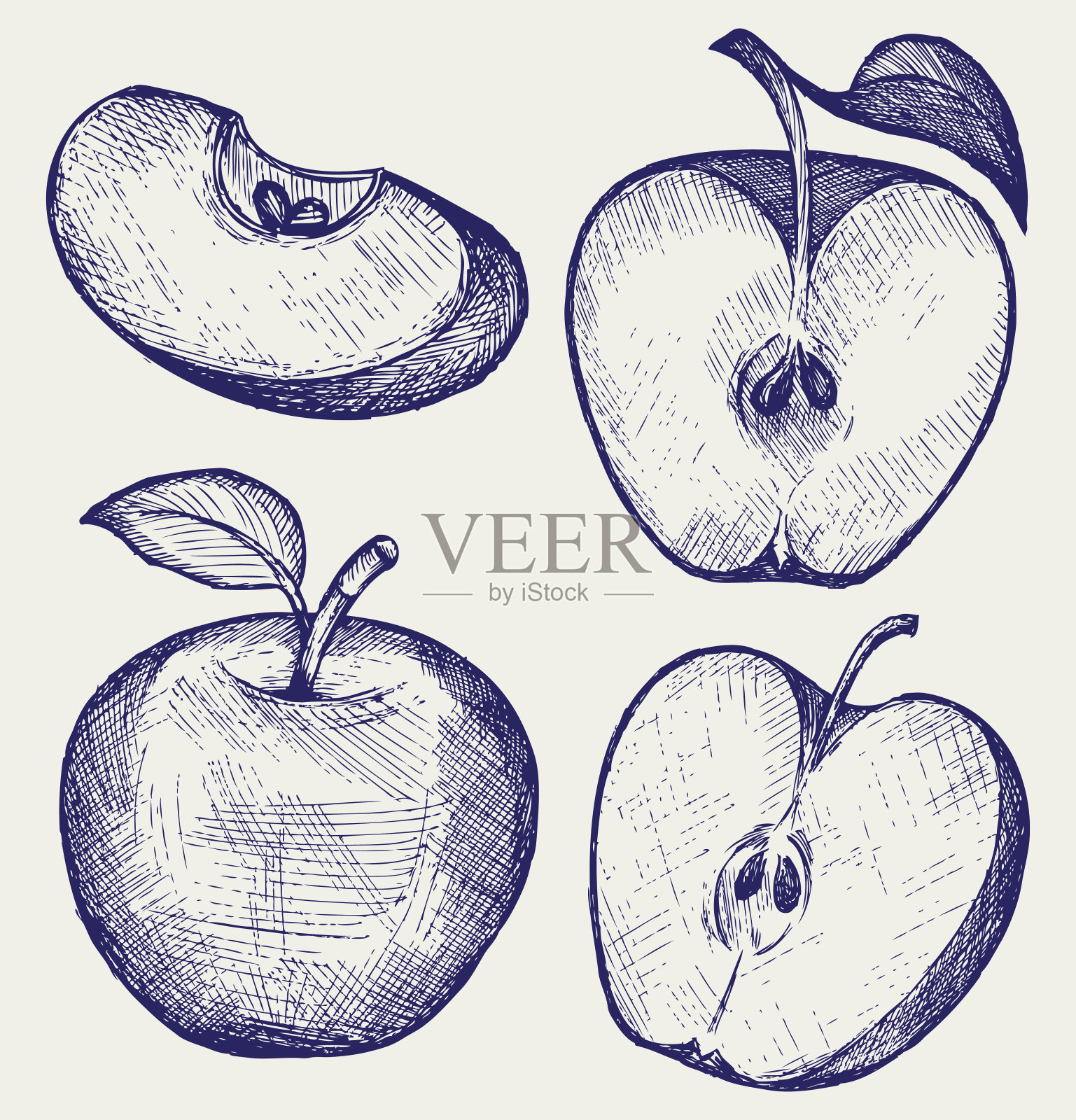 一个新鲜的苹果的草图和切片的叶子插画图片素材