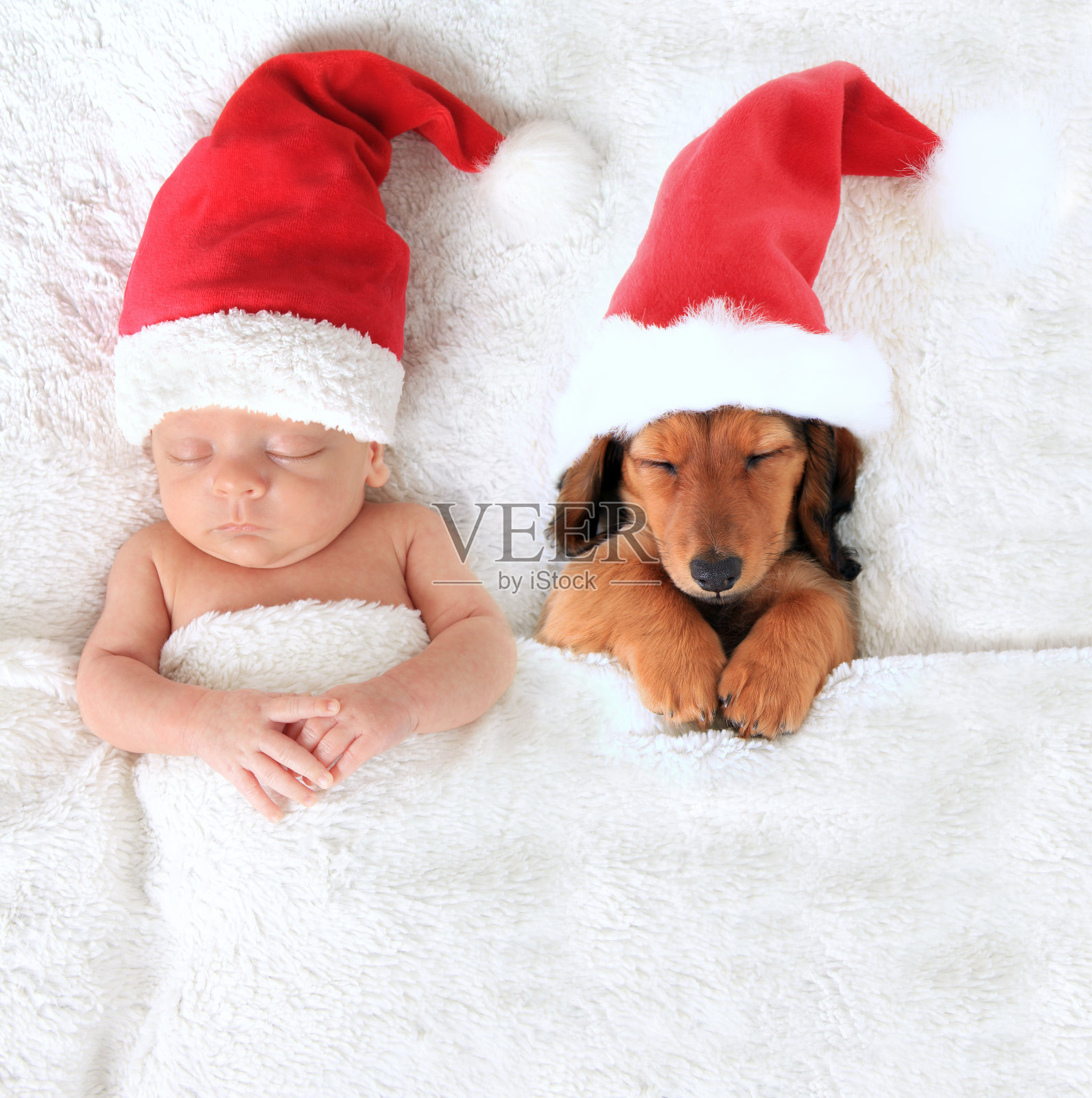 圣诞宝宝和圣诞老人小狗照片摄影图片