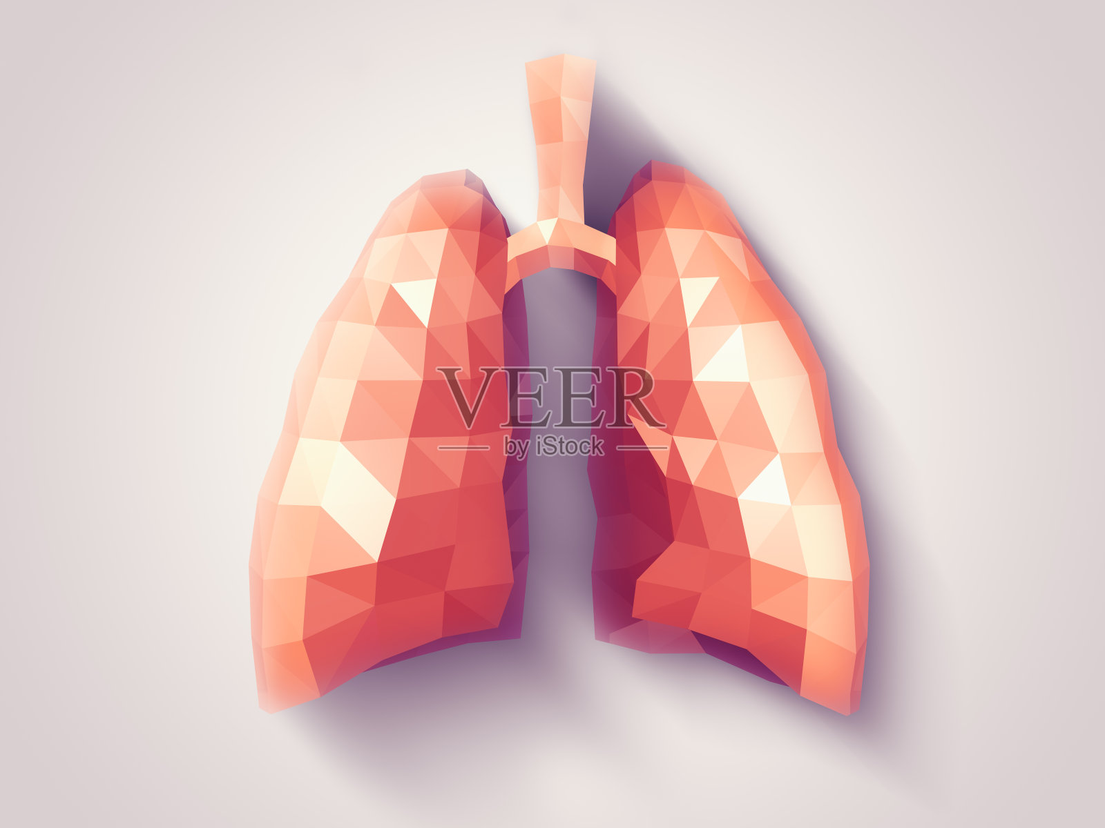 肺在上雕琢平面的照片摄影图片