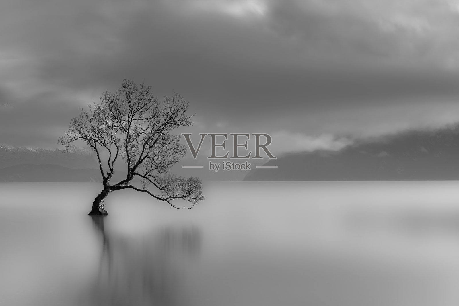 孤独树，瓦纳卡湖，新西兰(黑色和白色)照片摄影图片