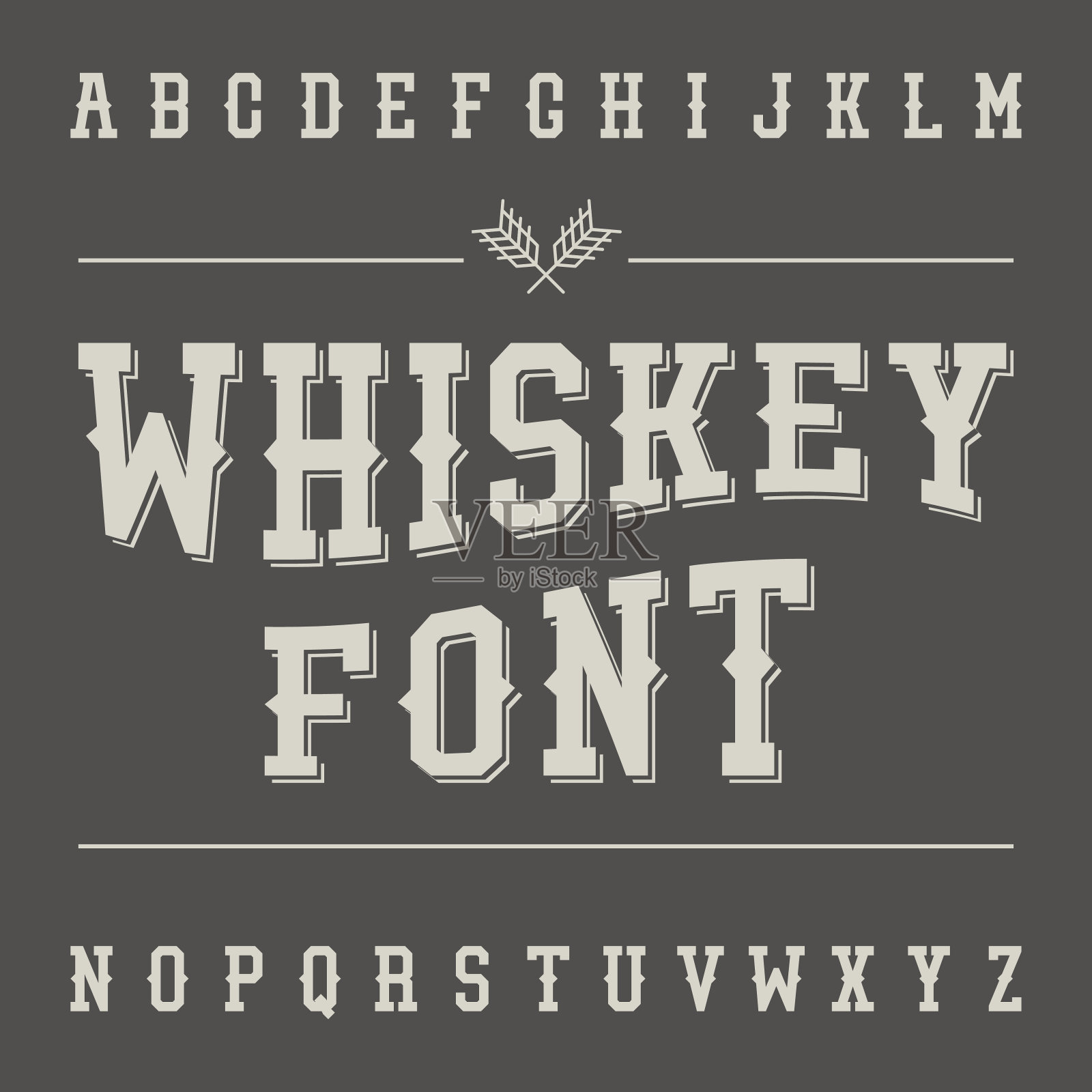 年份威士忌字体。酒精饮料标签设计。板衬线受潮湿腐烂插画图片素材
