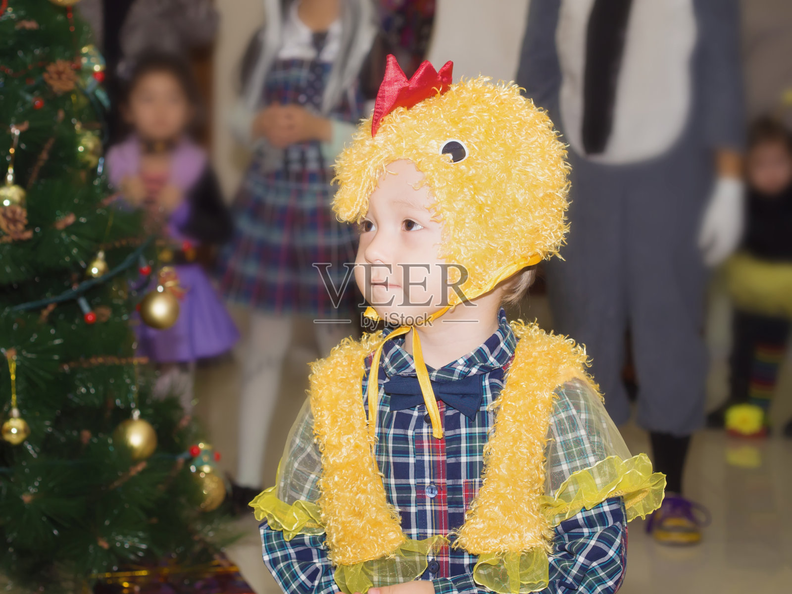 白人小男孩在庆祝圣诞节照片摄影图片