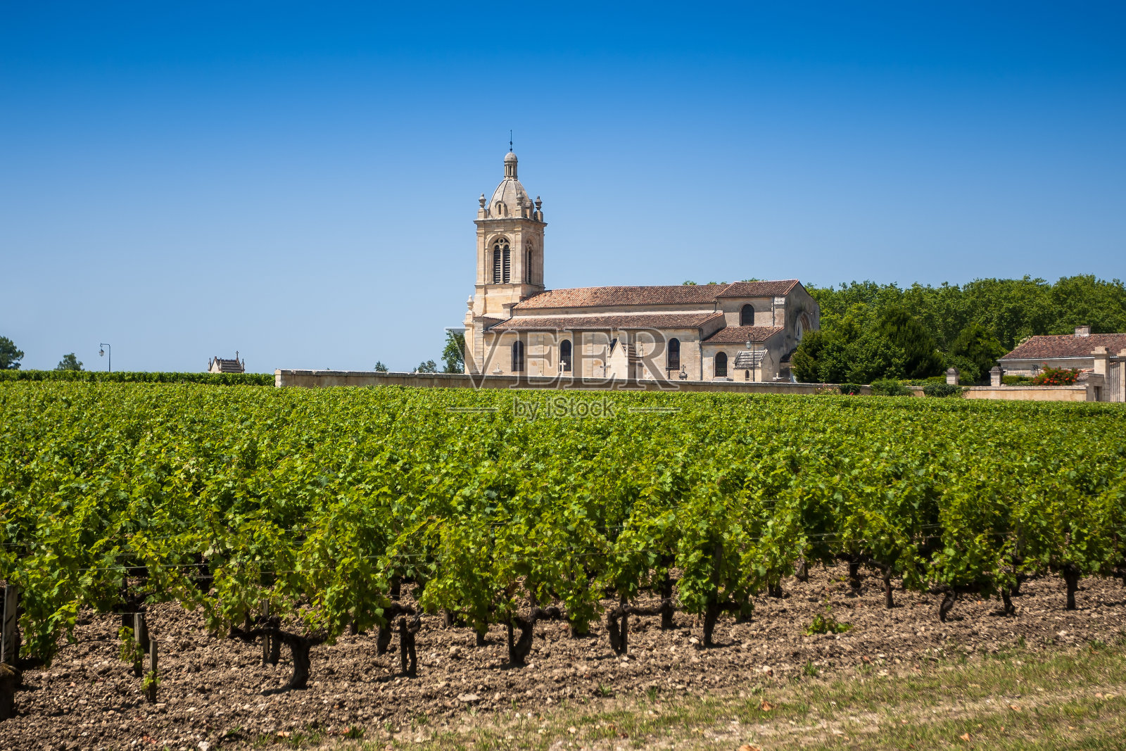 后面是葡萄园和古老的教堂。法国波尔多地区照片摄影图片