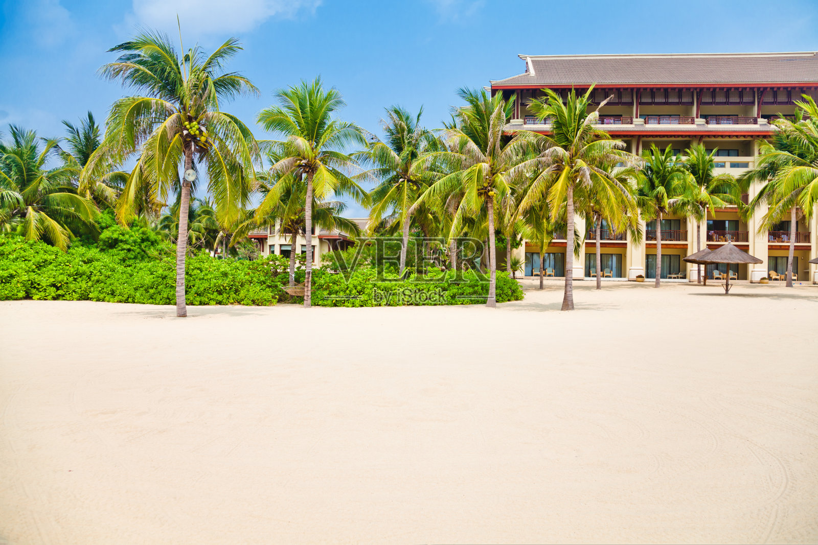 拥有美丽花园的热带海滨酒店照片摄影图片