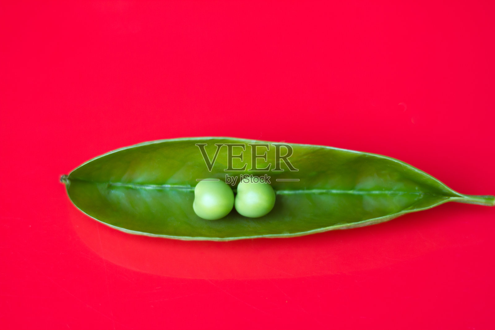 两个完美的豌豆荚，充满活力的红色背景照片摄影图片