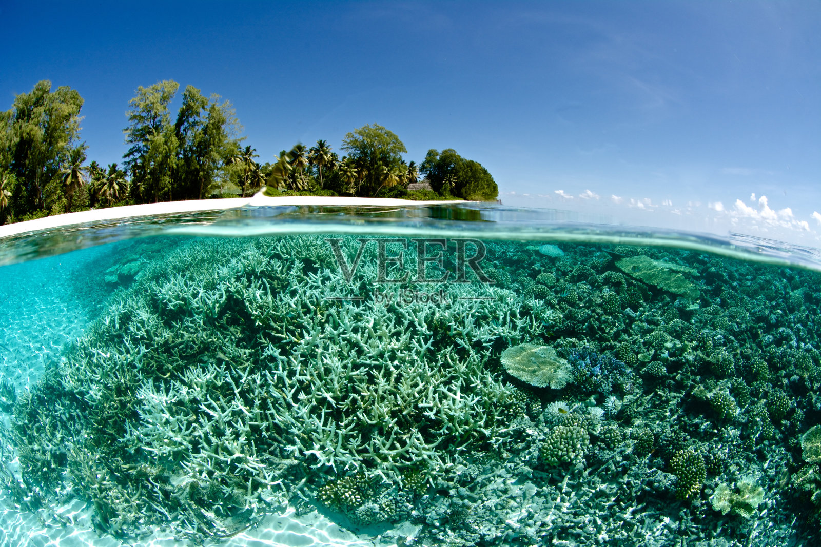 珊瑚礁下一个热带岛屿照片摄影图片