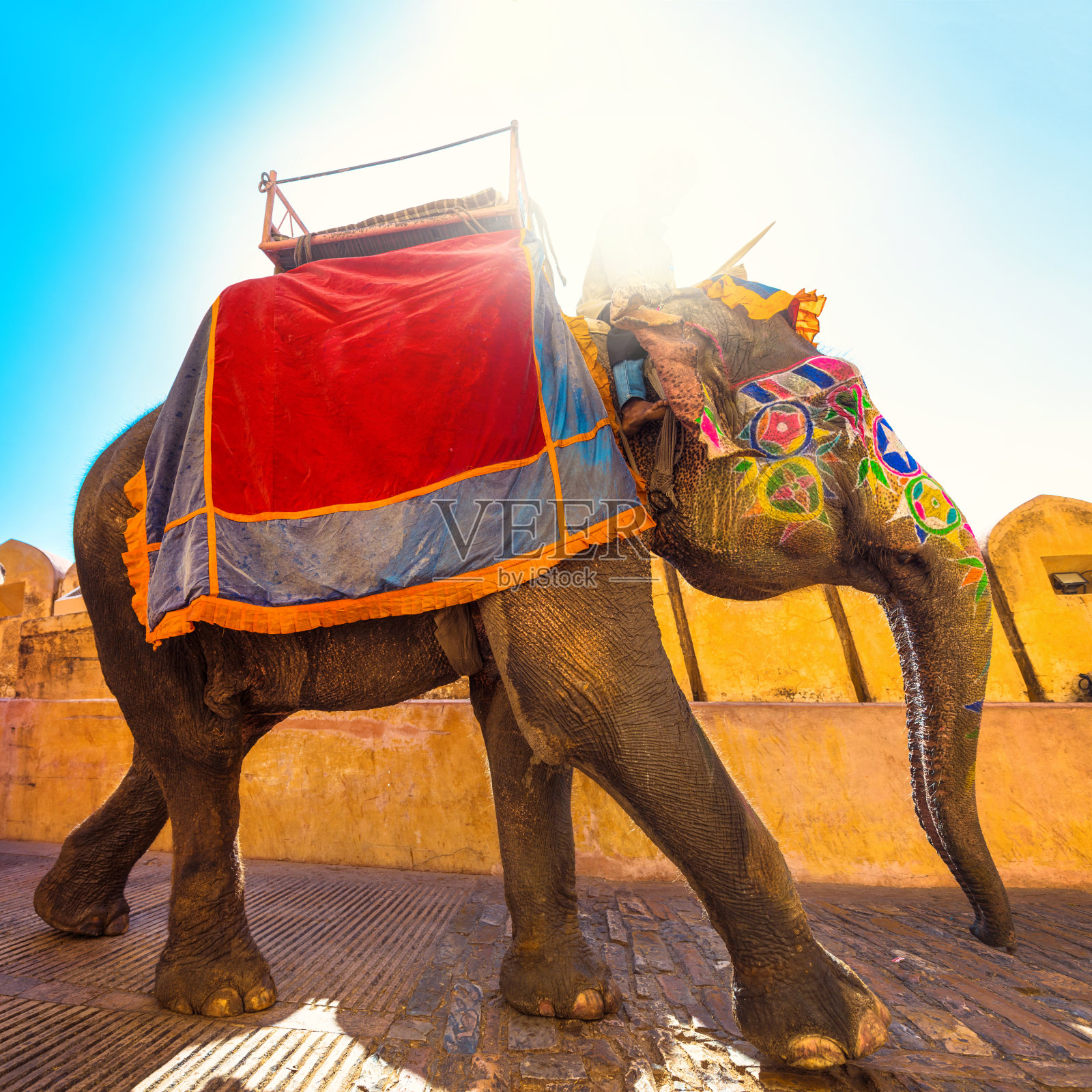 印度的彩色大象照片摄影图片