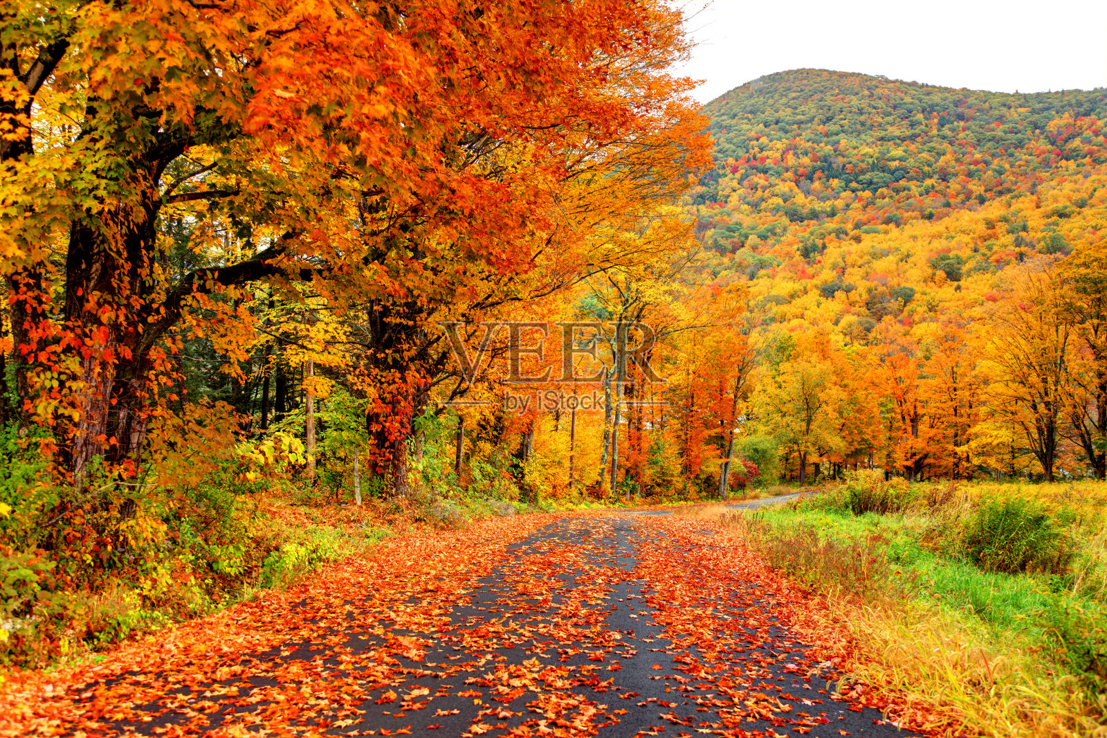 马萨诸塞州拓荒者谷地区的秋天照片摄影图片