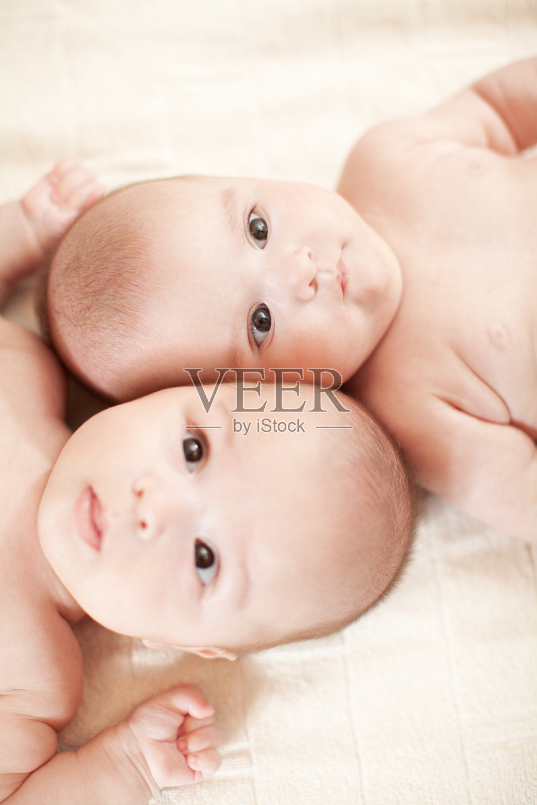 可爱的婴儿的双胞胎照片摄影图片