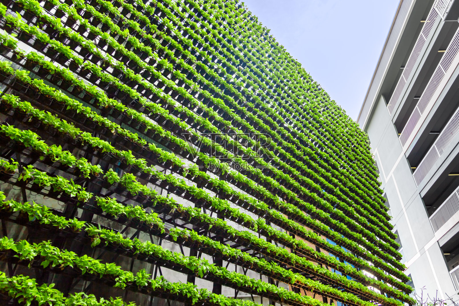 垂直花园-绿墙-生物墙照片摄影图片