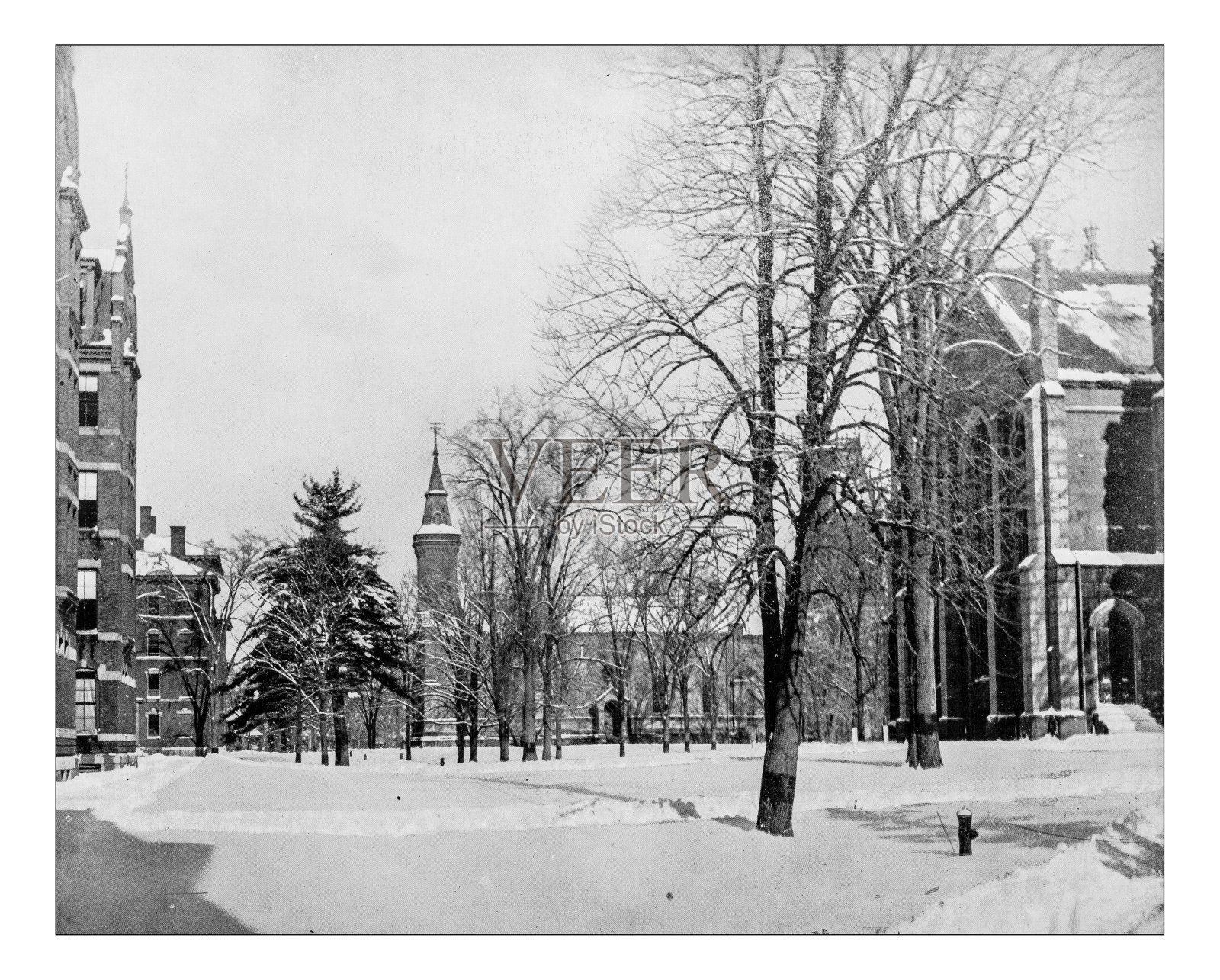 哈佛大学校园的古董照片(剑桥，马萨诸塞州，美国)-19世纪照片摄影图片