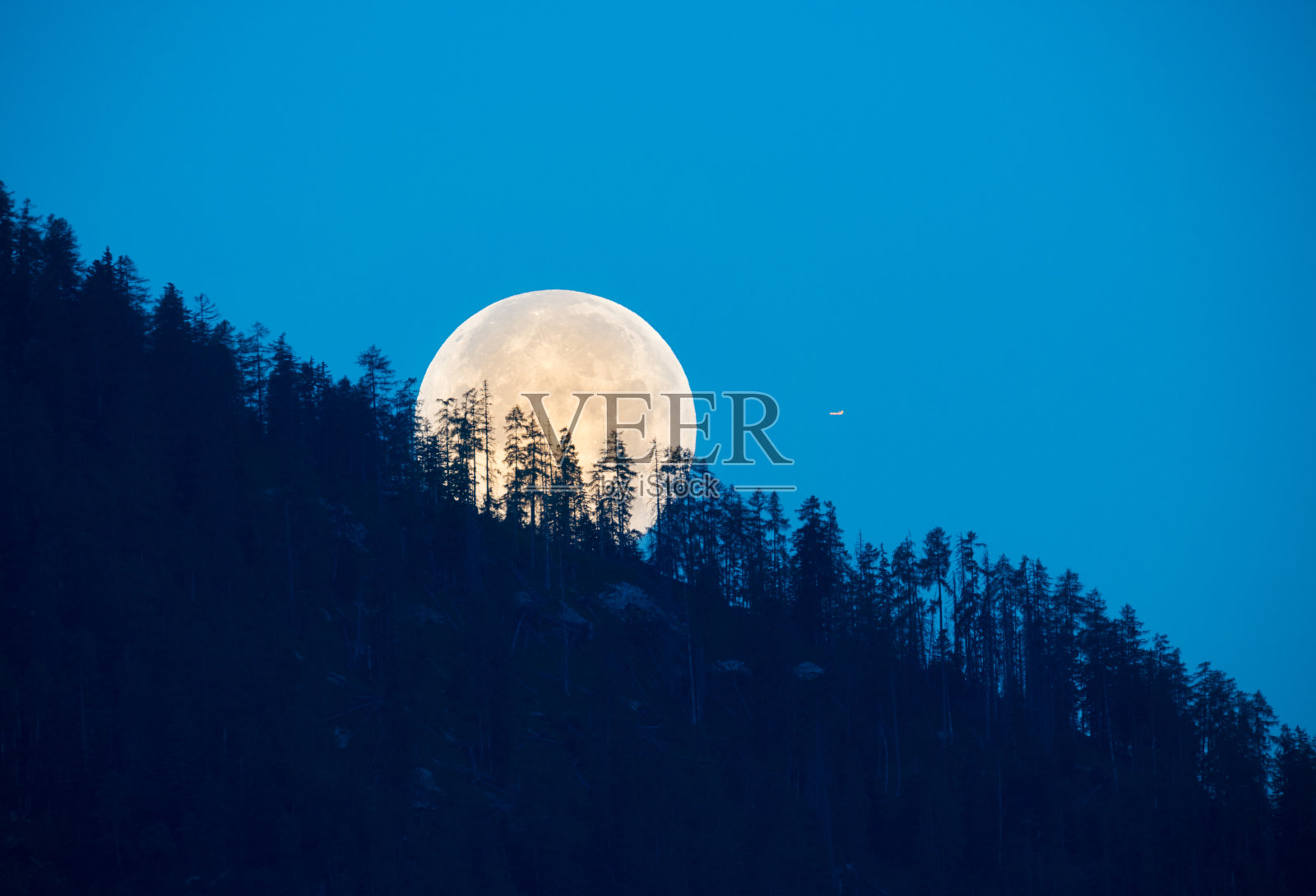 满月透过树林照耀照片摄影图片