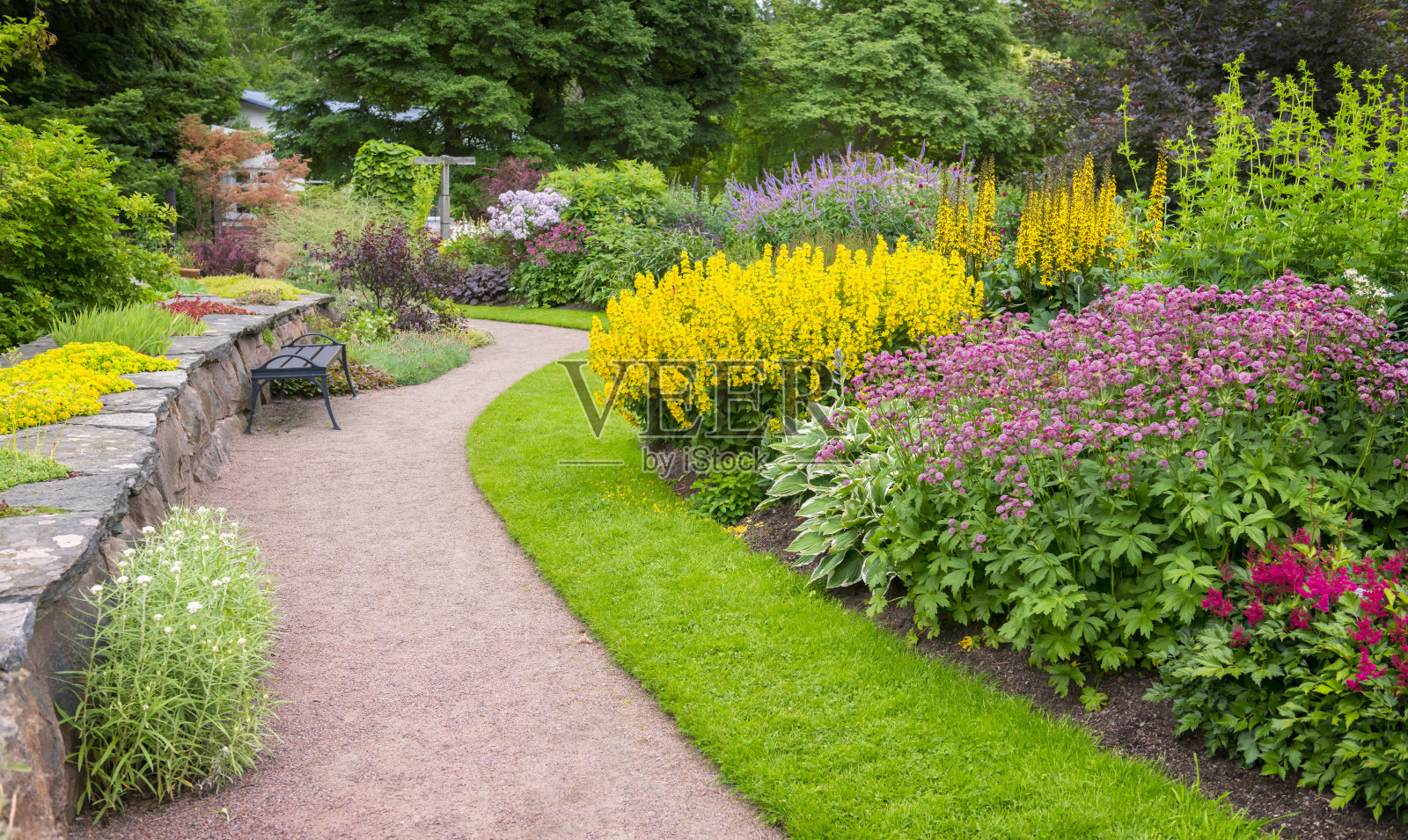 花园小径和花坛在美丽的公园照片摄影图片