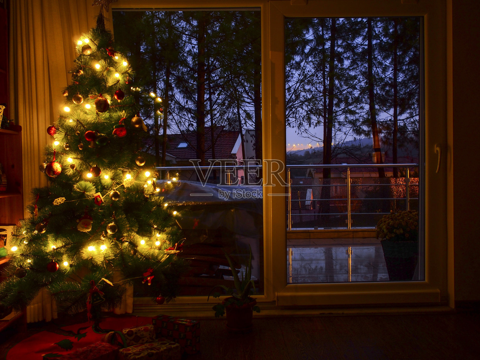 客厅里的圣诞树照片摄影图片