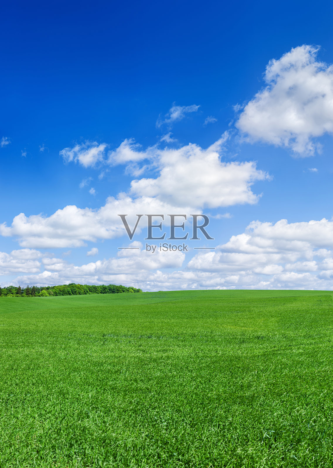 全景春天景观XXXXL 129MPix -绿色的田野，蓝色的天空照片摄影图片