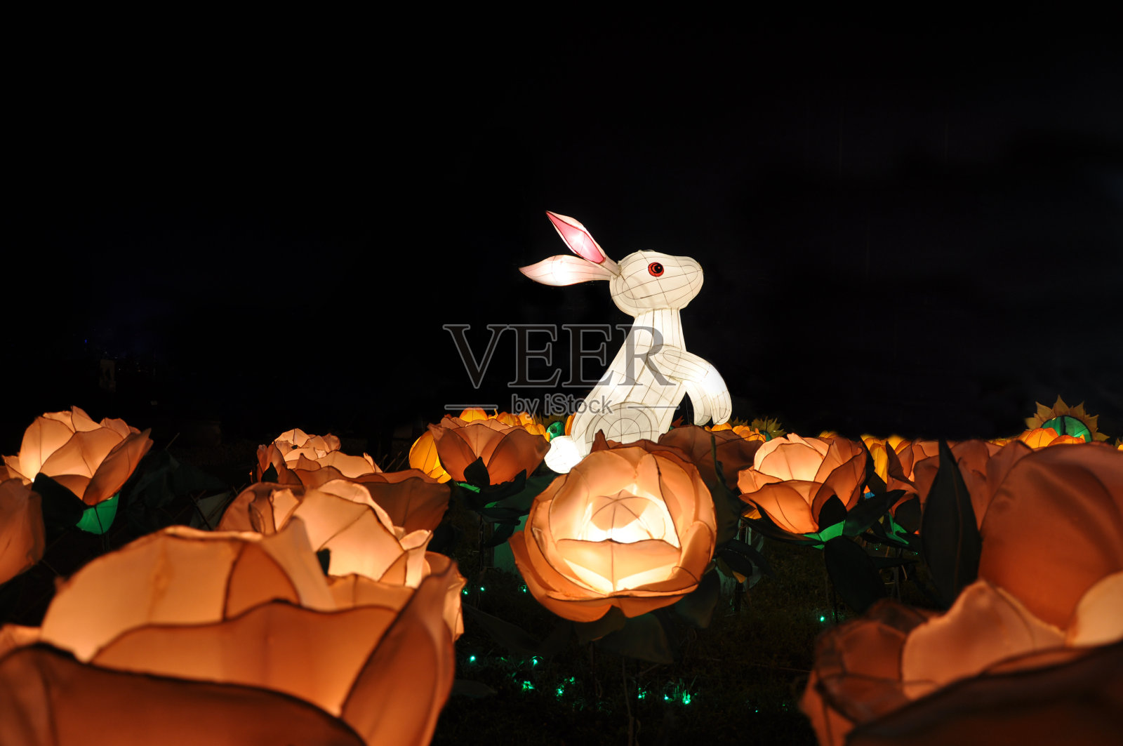 中国中秋兔在玫瑰园灯笼照片摄影图片
