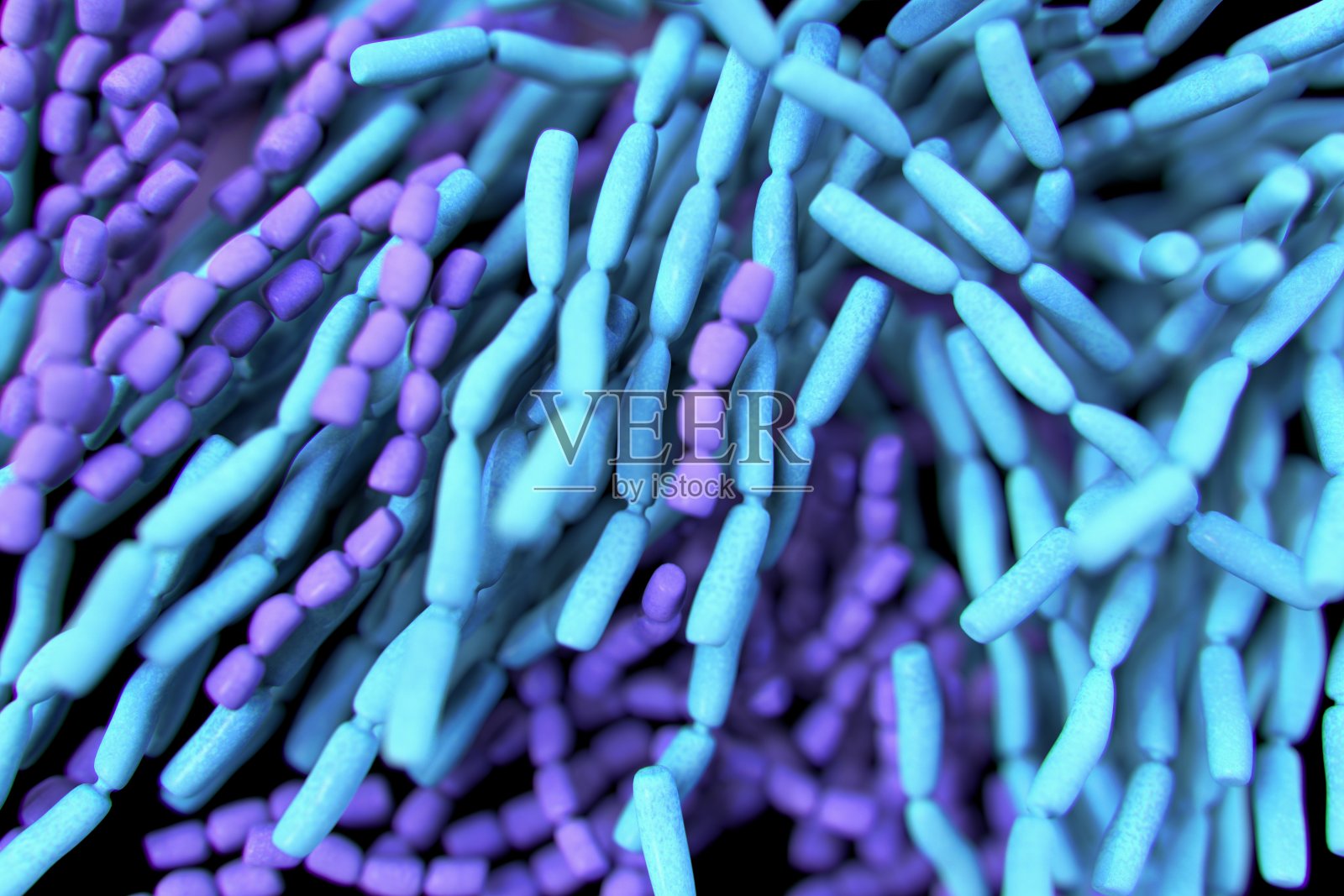 益生菌乳酸杆菌细菌照片摄影图片