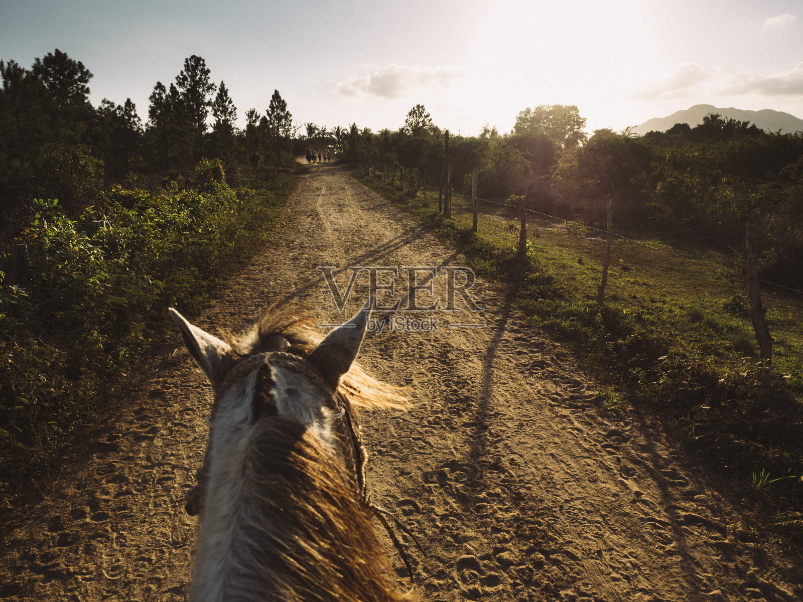 在古巴的比纳尔斯山谷骑马照片摄影图片