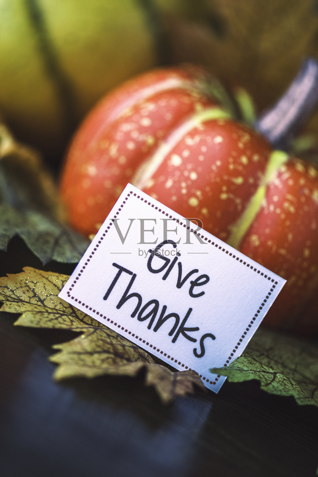 秋天的感恩节用南瓜、树叶和感谢的信息安排照片摄影图片