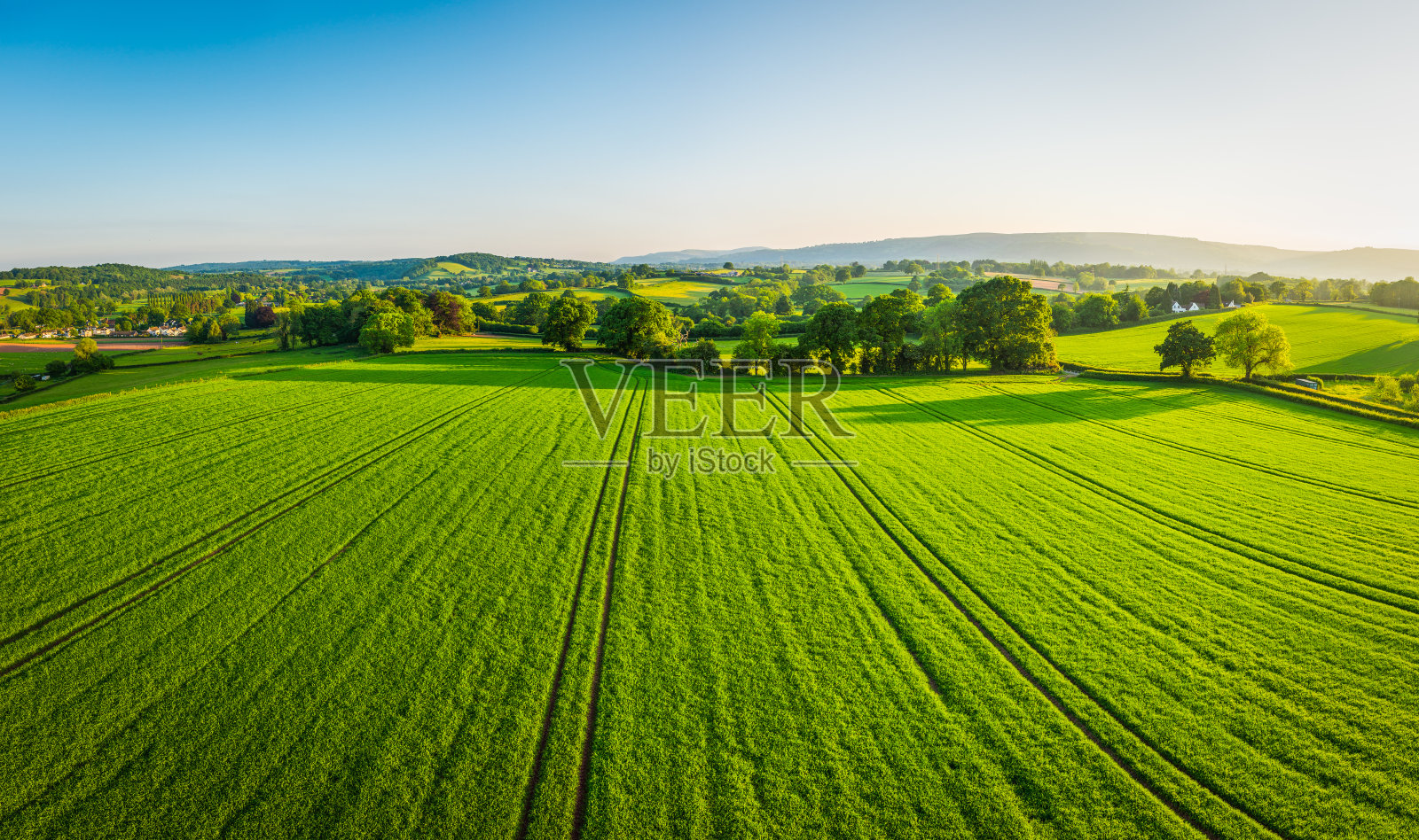 空中全景图，健康的绿色作物在拼凑的牧场农田照片摄影图片