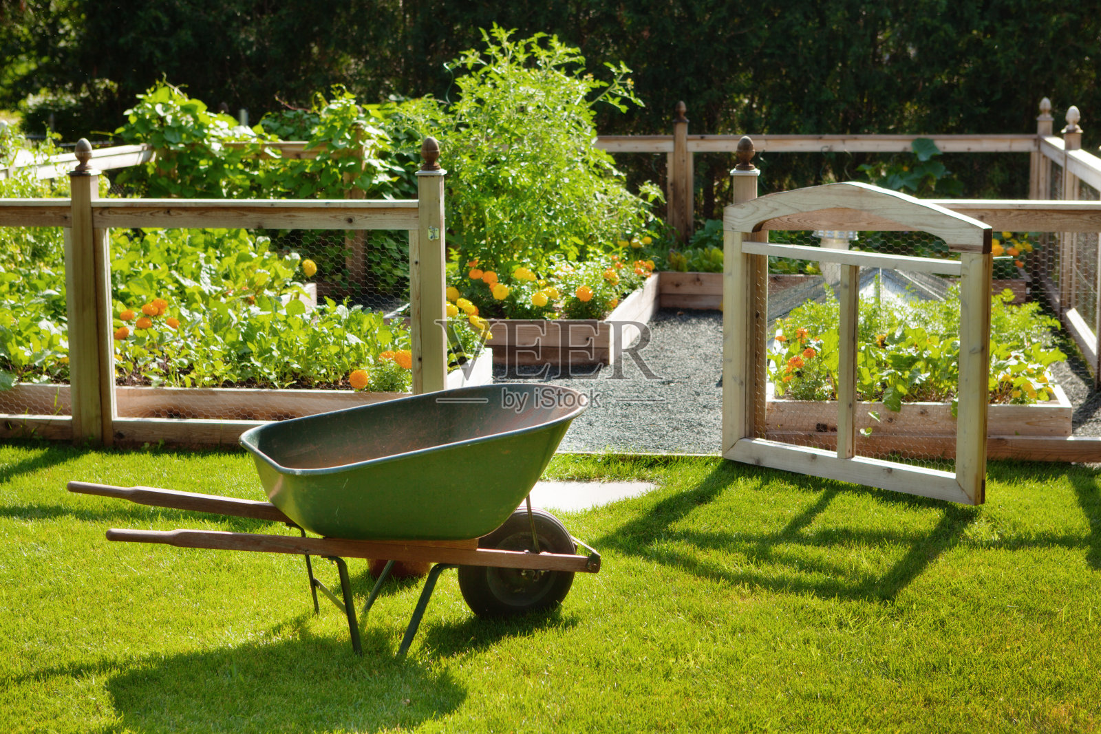 春天的家花园，花和蔬菜具有独轮车，篱笆照片摄影图片