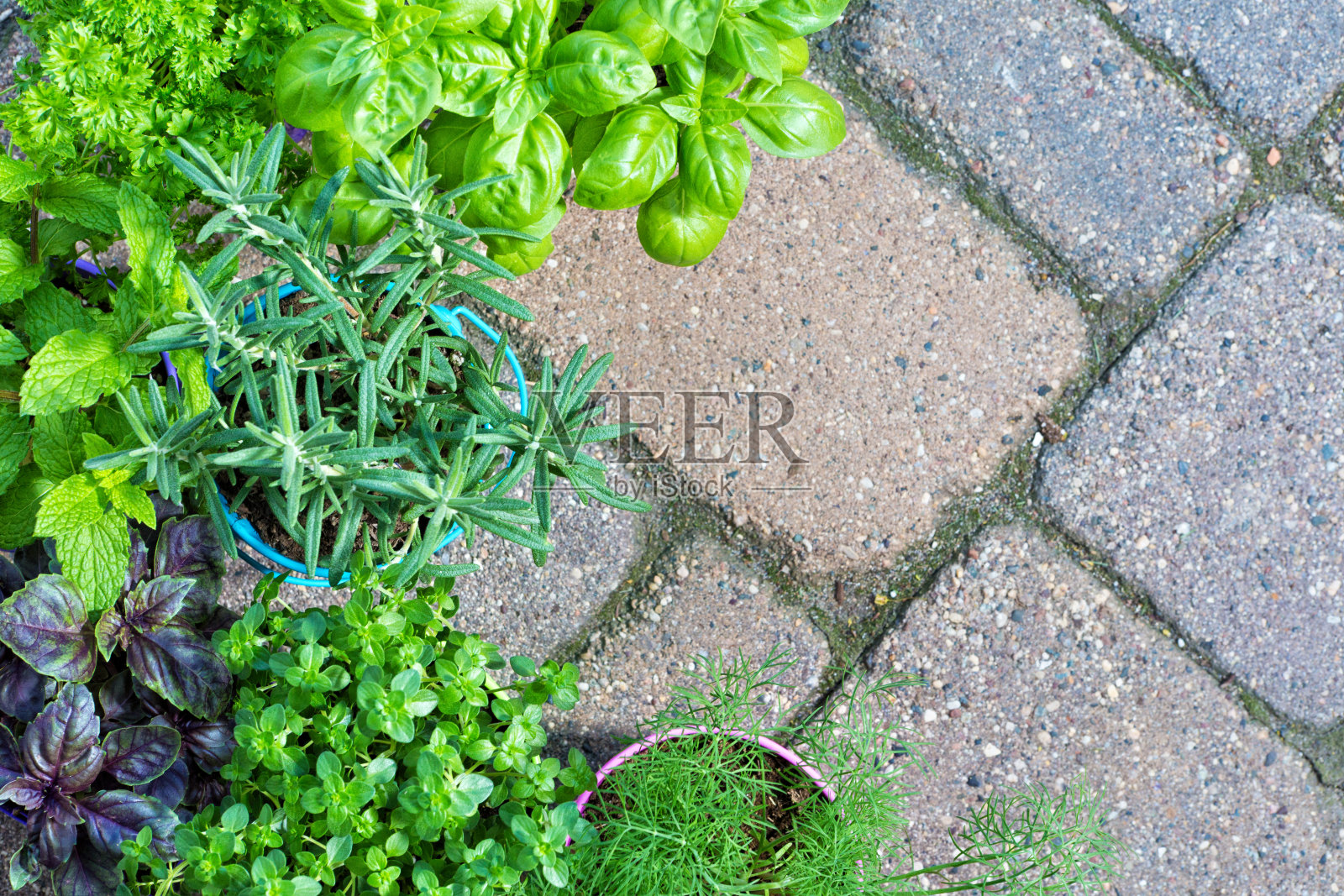 花园草药砖背景与复制空间照片摄影图片