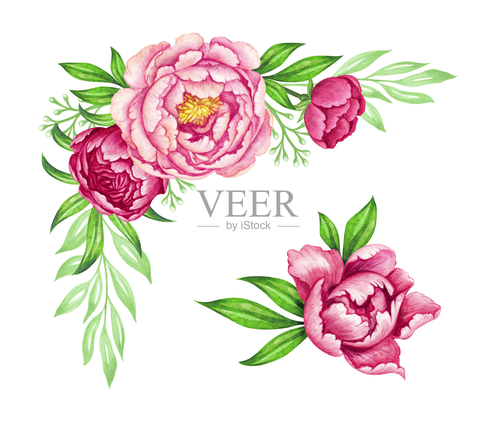 鲜粉牡丹花环，玫瑰绿叶，水彩花束插画，花卉设计元素插画图片素材