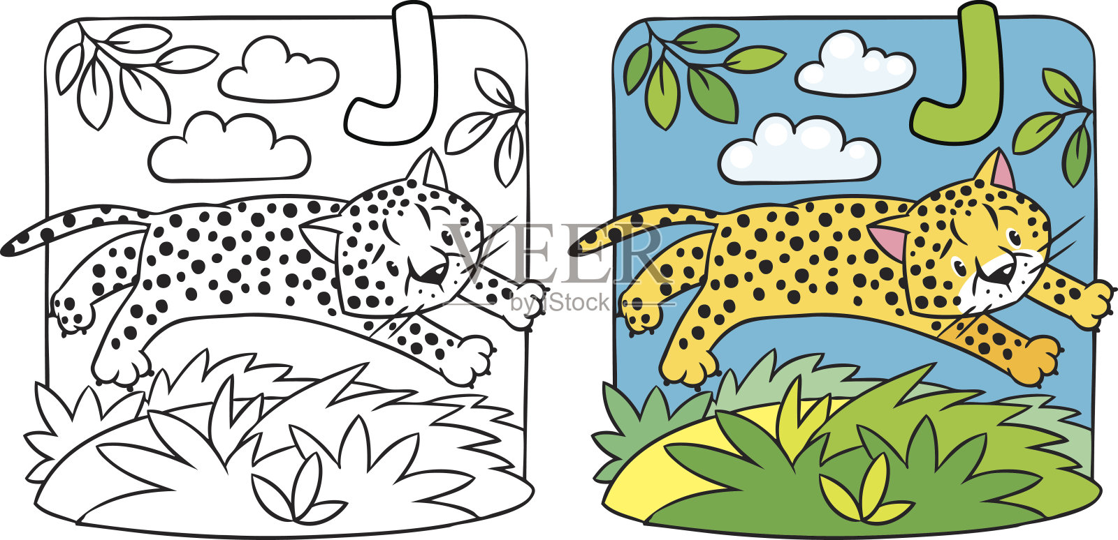 小猎豹或美洲虎着色书。字母J插画图片素材