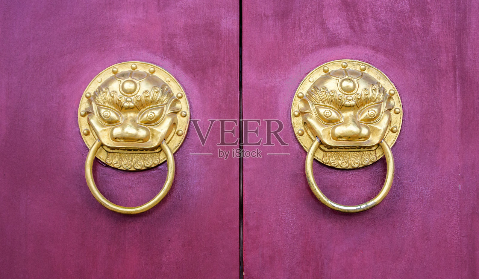 紫色门上的龙头门环。照片摄影图片