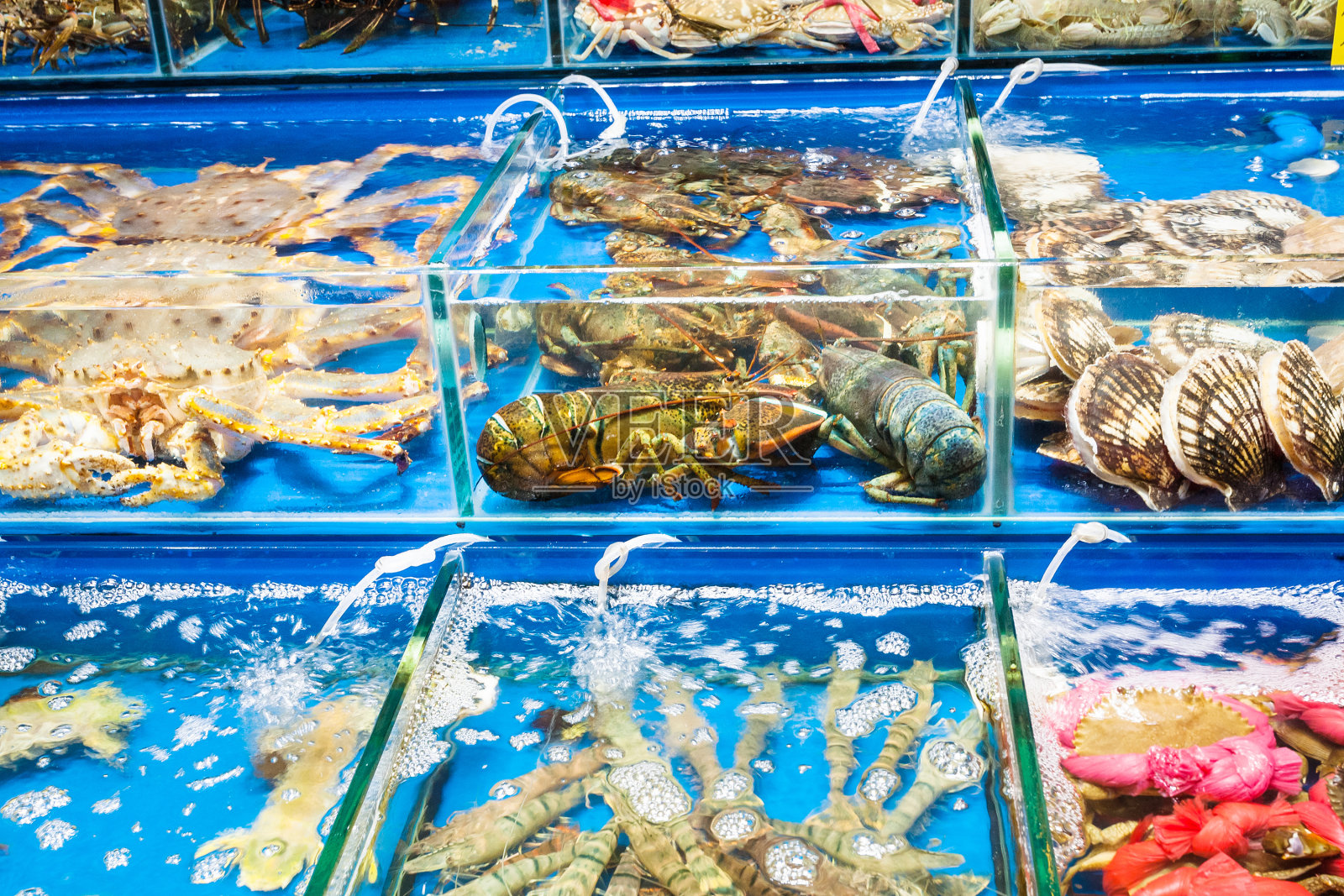 广州鱼市的螃蟹、扇贝照片摄影图片
