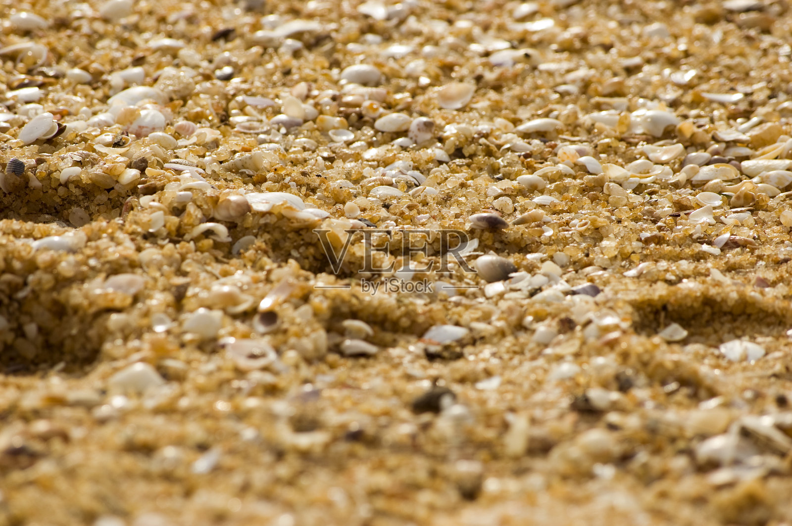 海滩沙子和卵石特写照片摄影图片