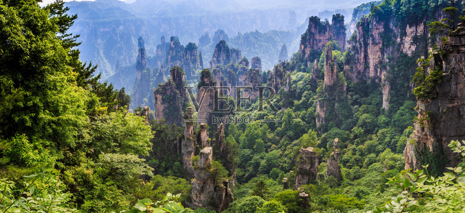 湖南张家界国家森林公园的石山景色照片摄影图片