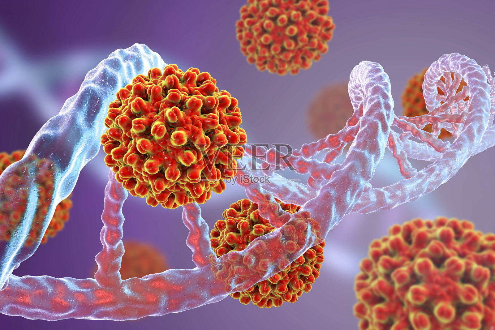 乙型肝炎病毒和DNA分子照片摄影图片