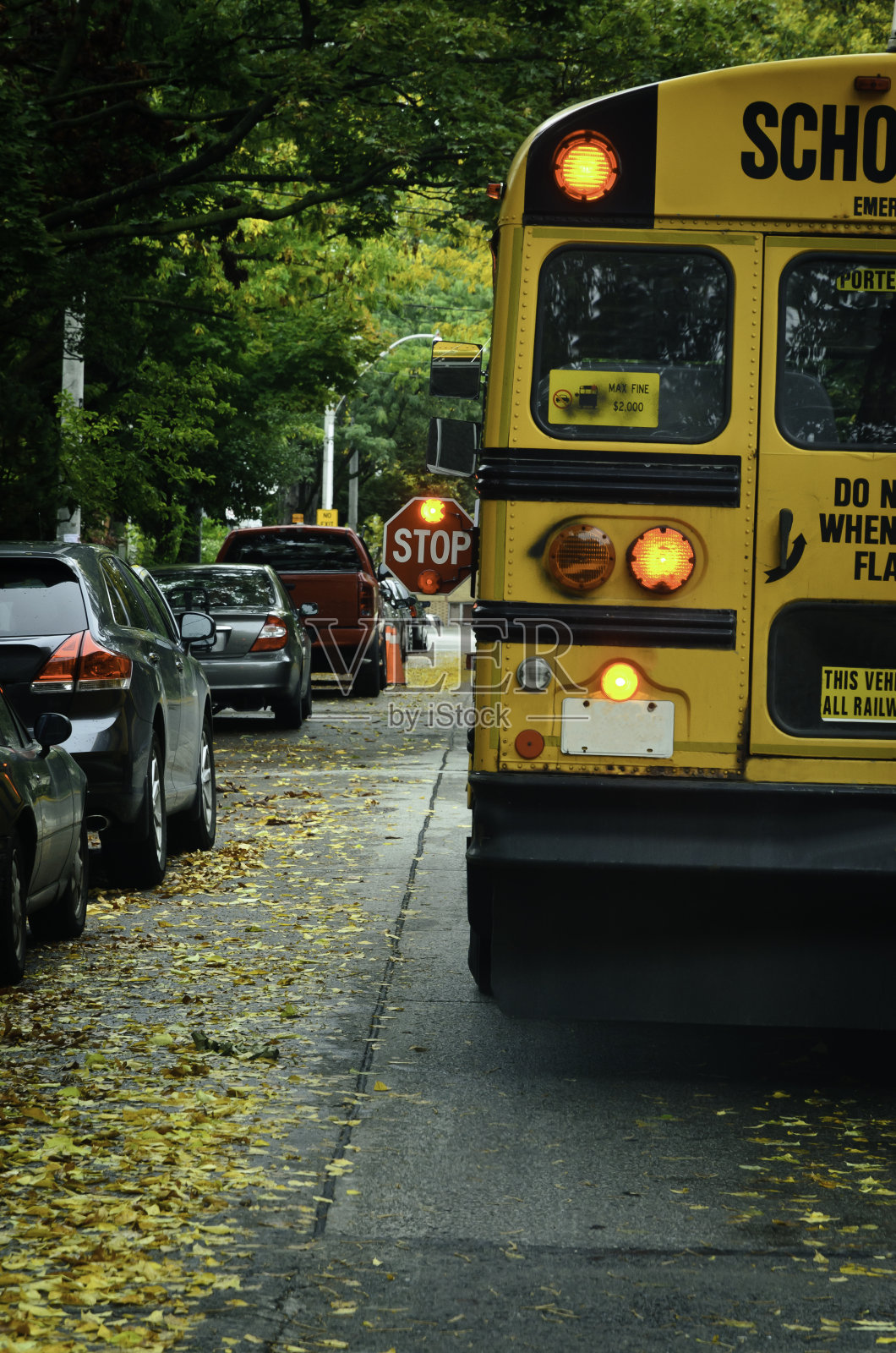 黄色校车开“停止”标志照片摄影图片