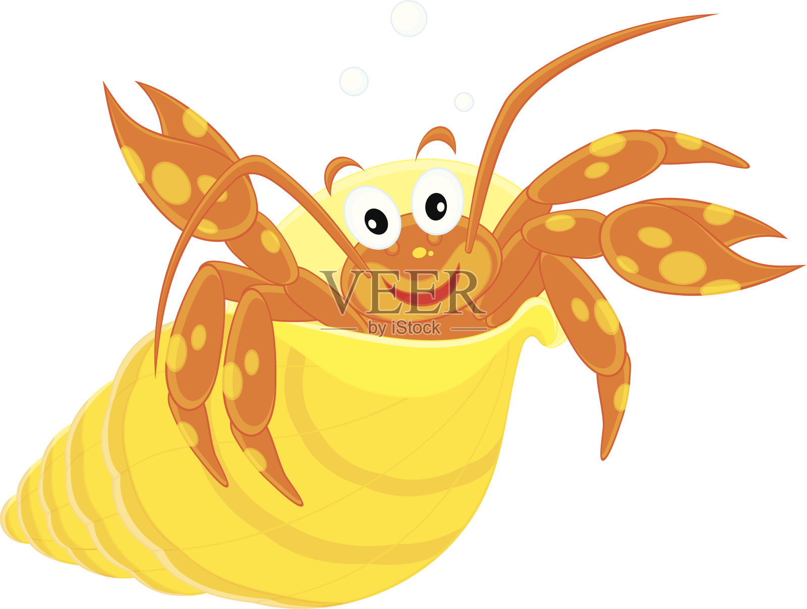 壳里的海小龙虾插画图片素材
