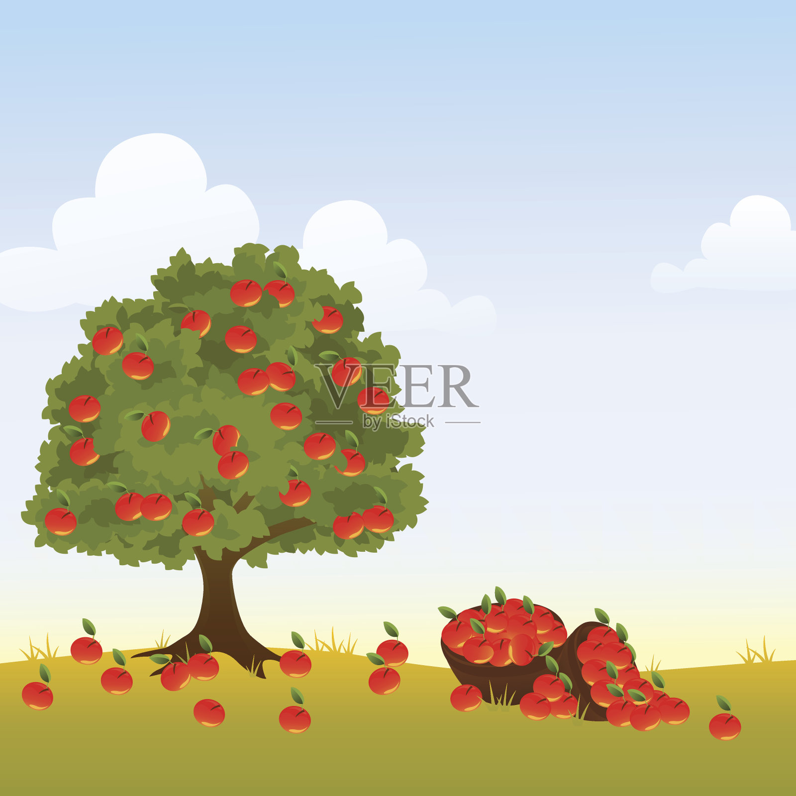 还有一棵挂满苹果的苹果树插画图片素材