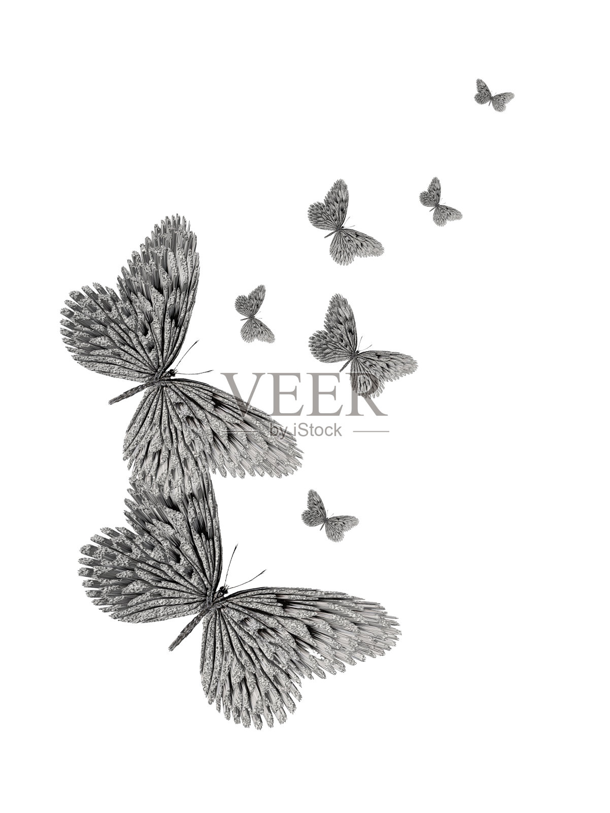 蝴蝶设计插画图片素材