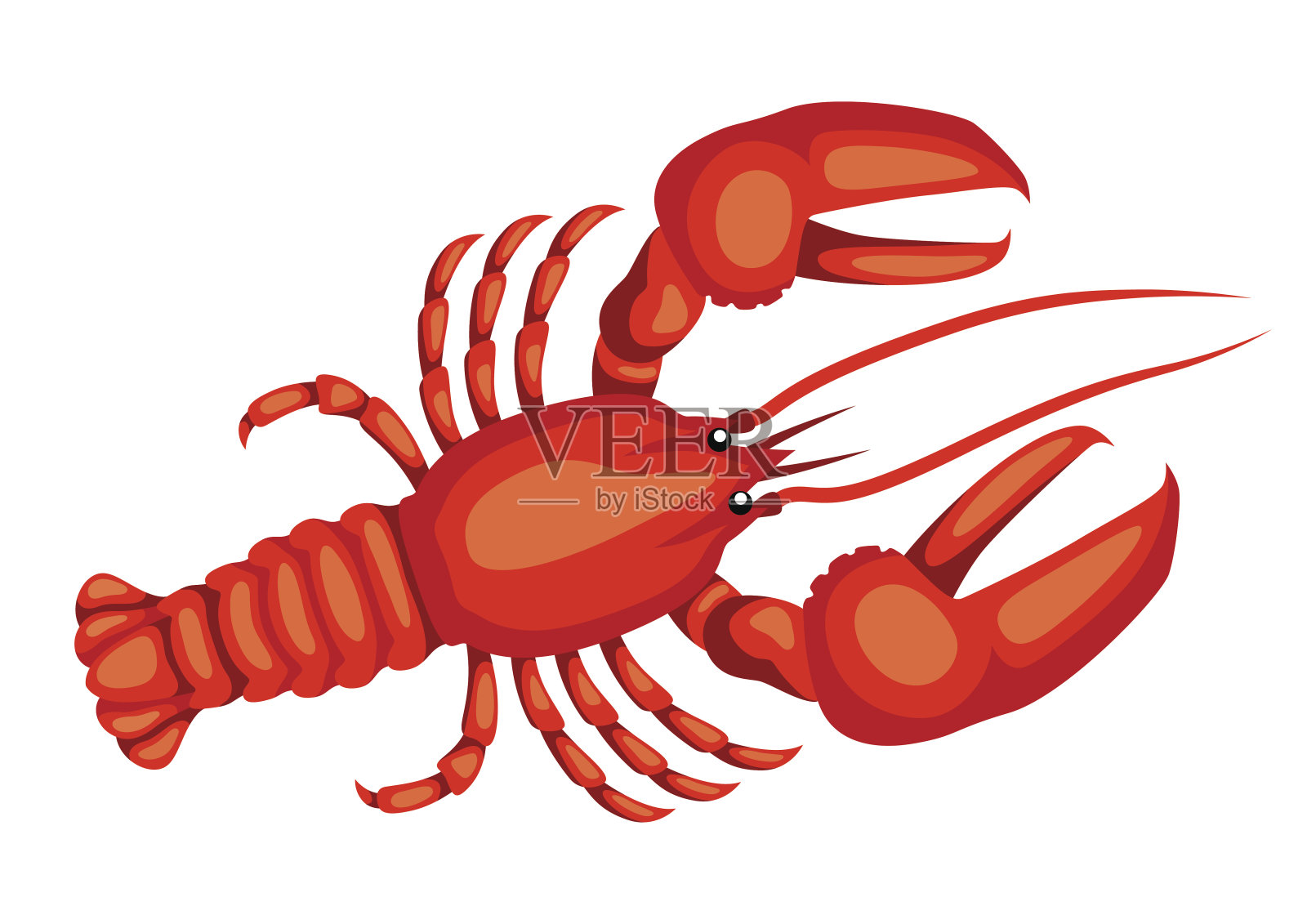 红色的龙虾。孤立的例证海鲜在白色的背景插画图片素材
