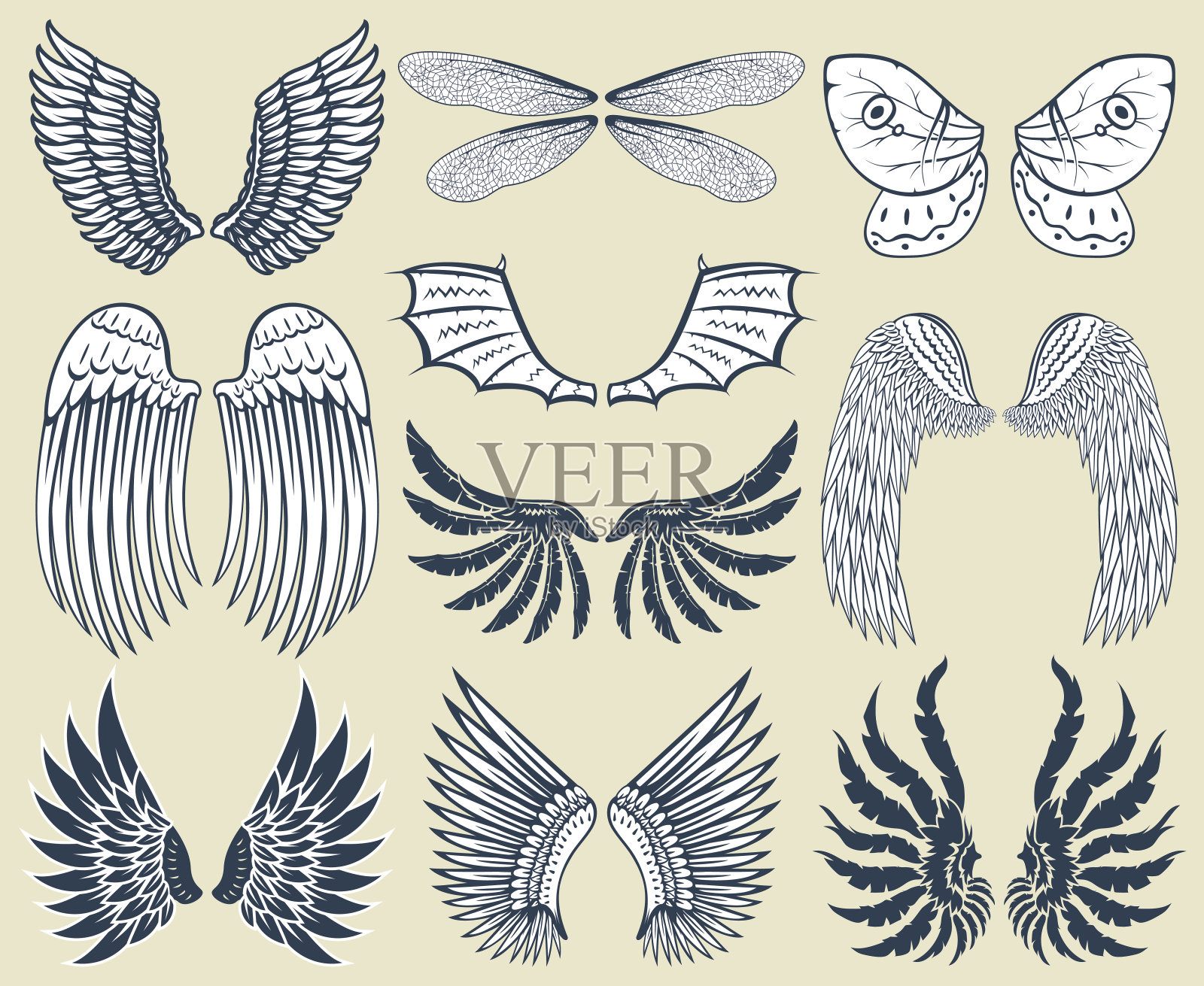 翅膀孤立动物羽毛羽翼鸟自由飞行自然和平设计矢量插图插画图片素材
