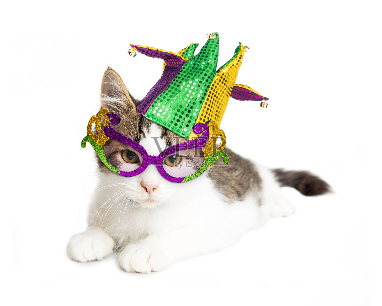 戴着狂欢节帽子和眼镜的小猫照片摄影图片