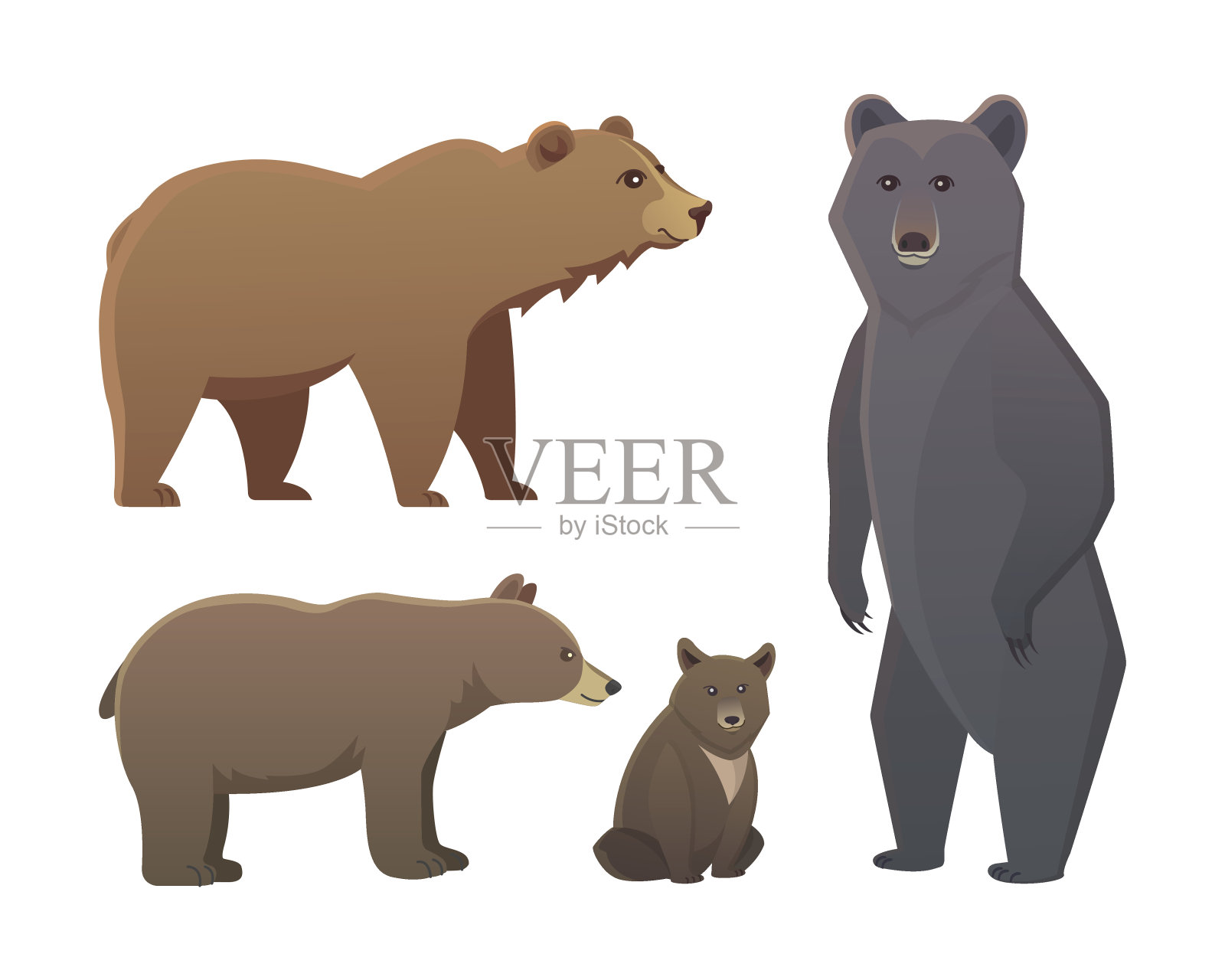收集不同的卡通熊孤立在白色背景。向量棕熊和美洲黑熊。设置野生动物或动物园灰熊。插画图片素材