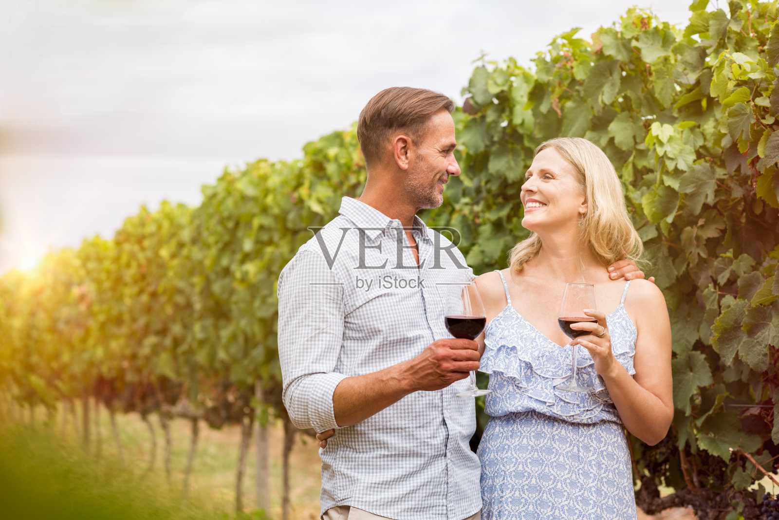 夫妇在葡萄园喝酒照片摄影图片