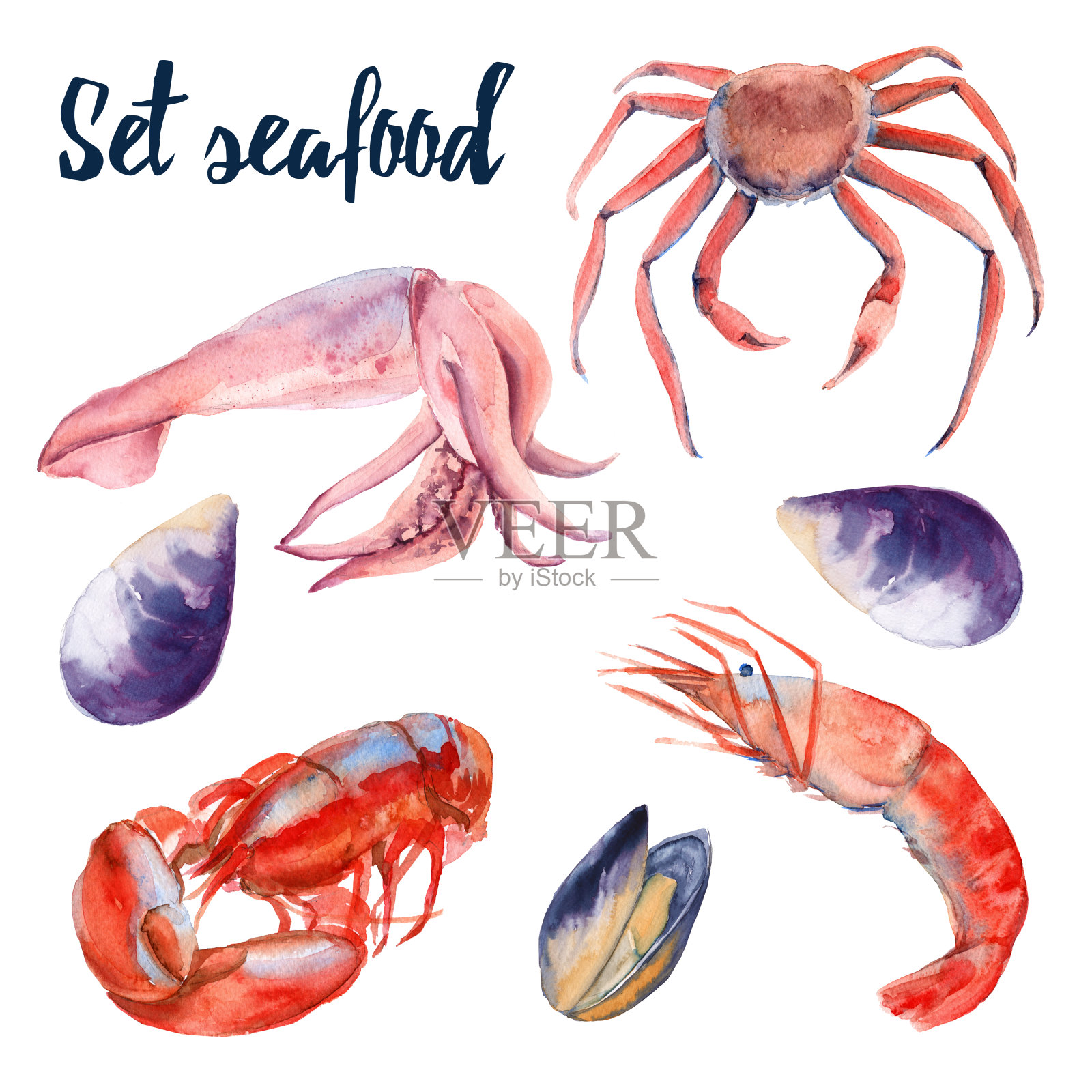 的海鲜。蟹、虾、龙虾、贻贝和鱿鱼。孤立在白色背景上。水彩插图。插画图片素材