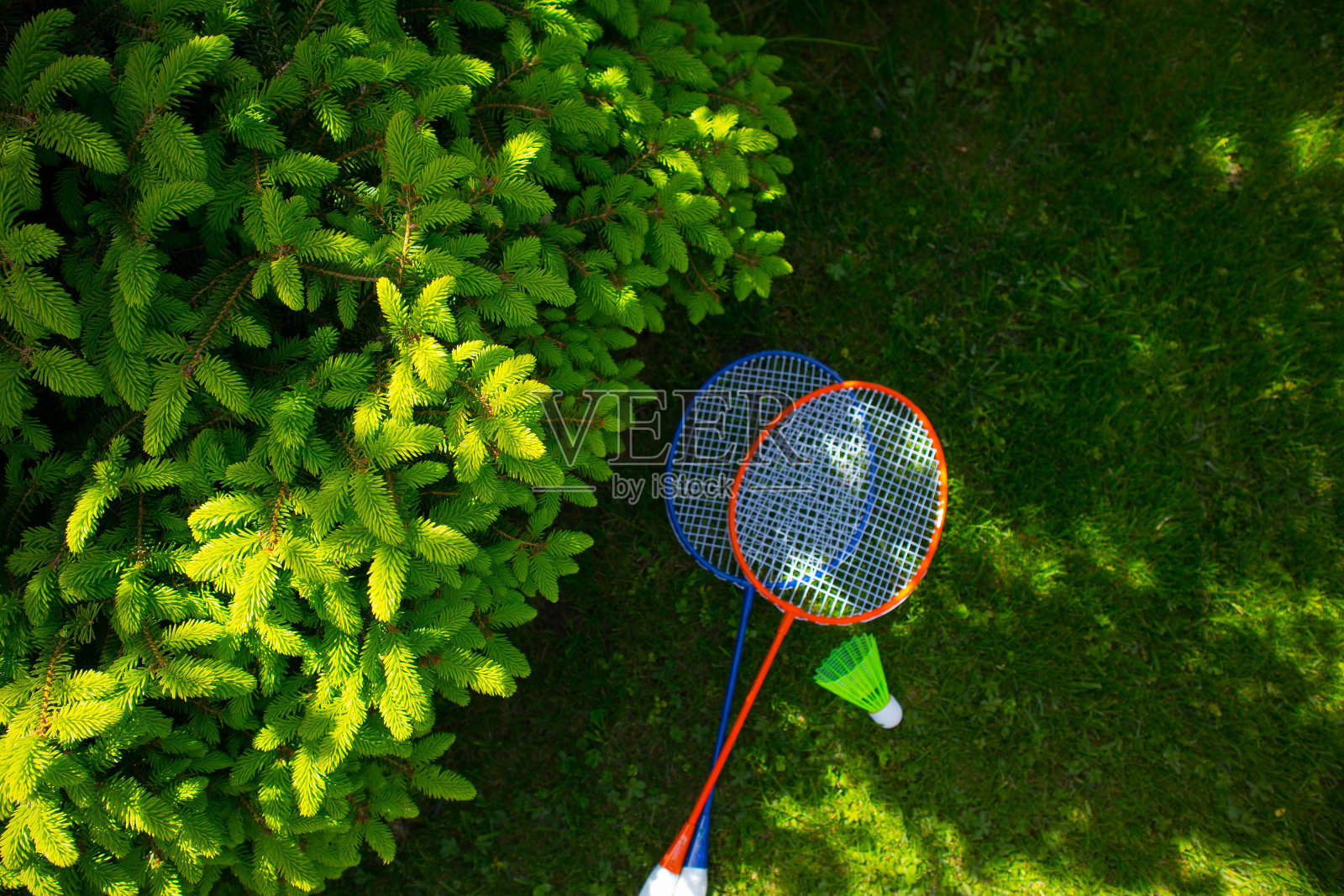 两支羽毛球拍在阳光明媚的草木绿鲜的背景上。照片摄影图片