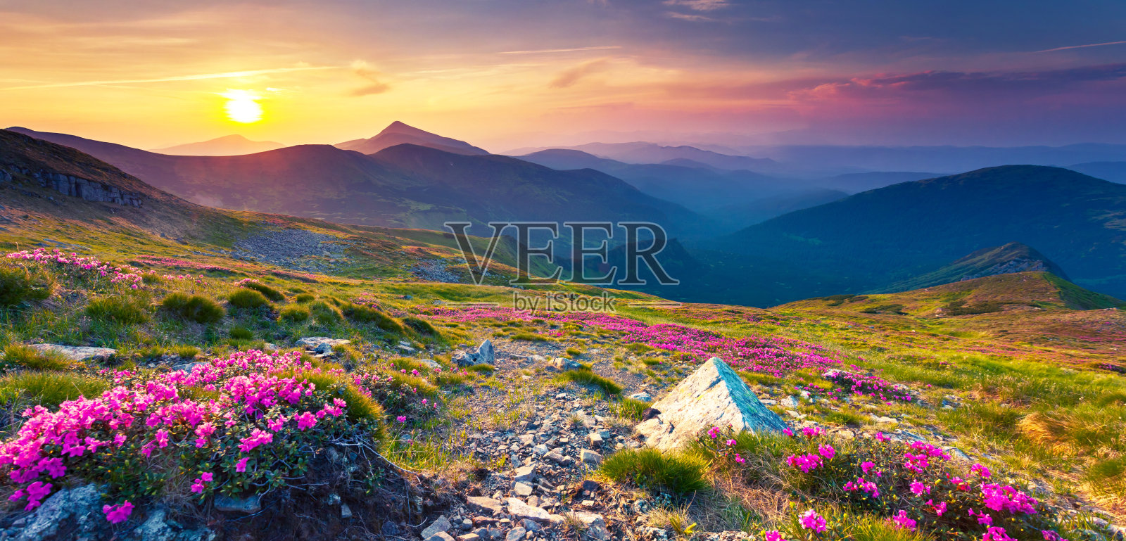 欧洲乌克兰喀尔巴阡山脉的美丽风景。美丽的世界。照片摄影图片