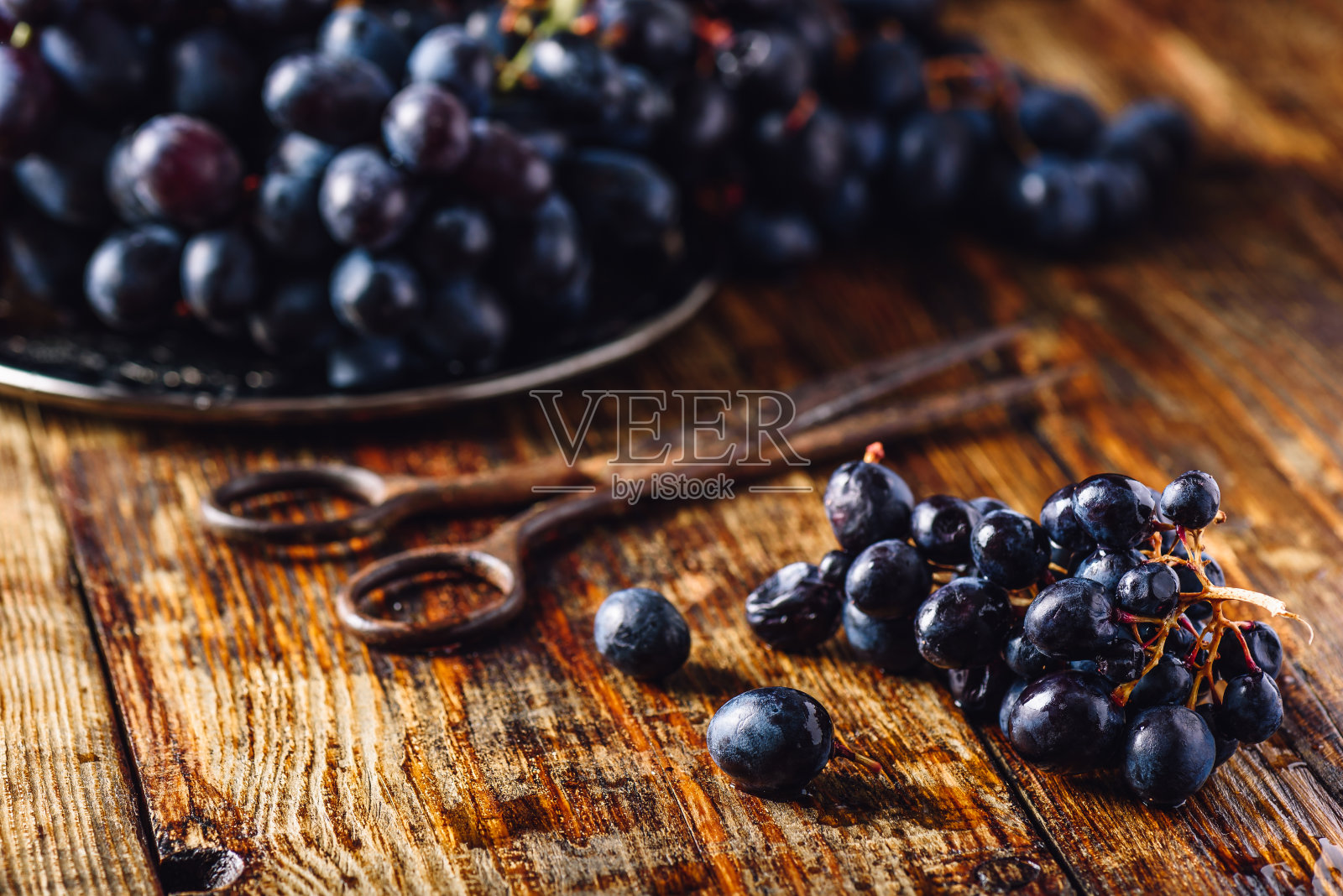 蓝葡萄葡萄。照片摄影图片